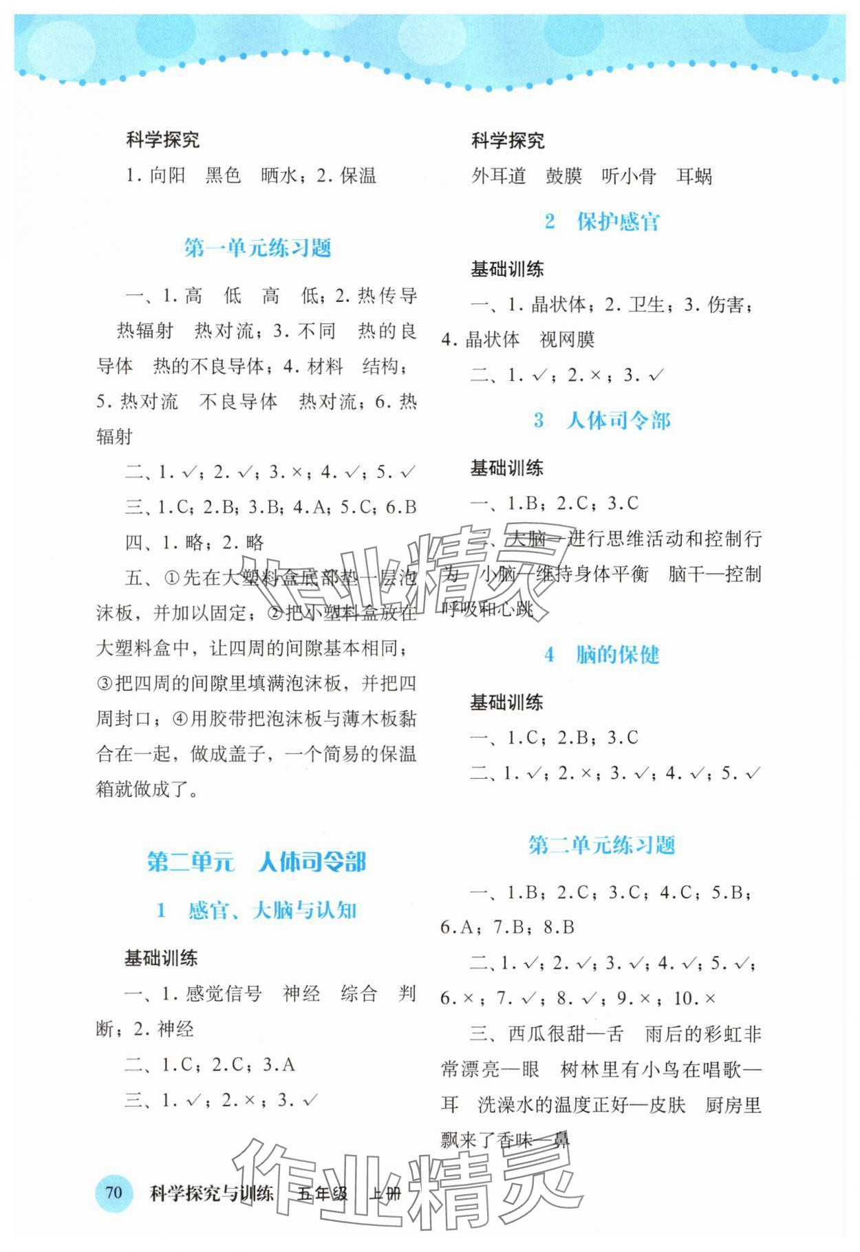 2025年科学探究与训练五年级上册大象版 第2页