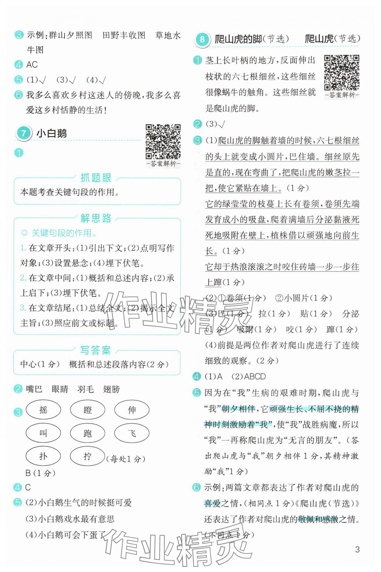 2025年小学语文分级阅读组合训练四年级&nbsp;第3页