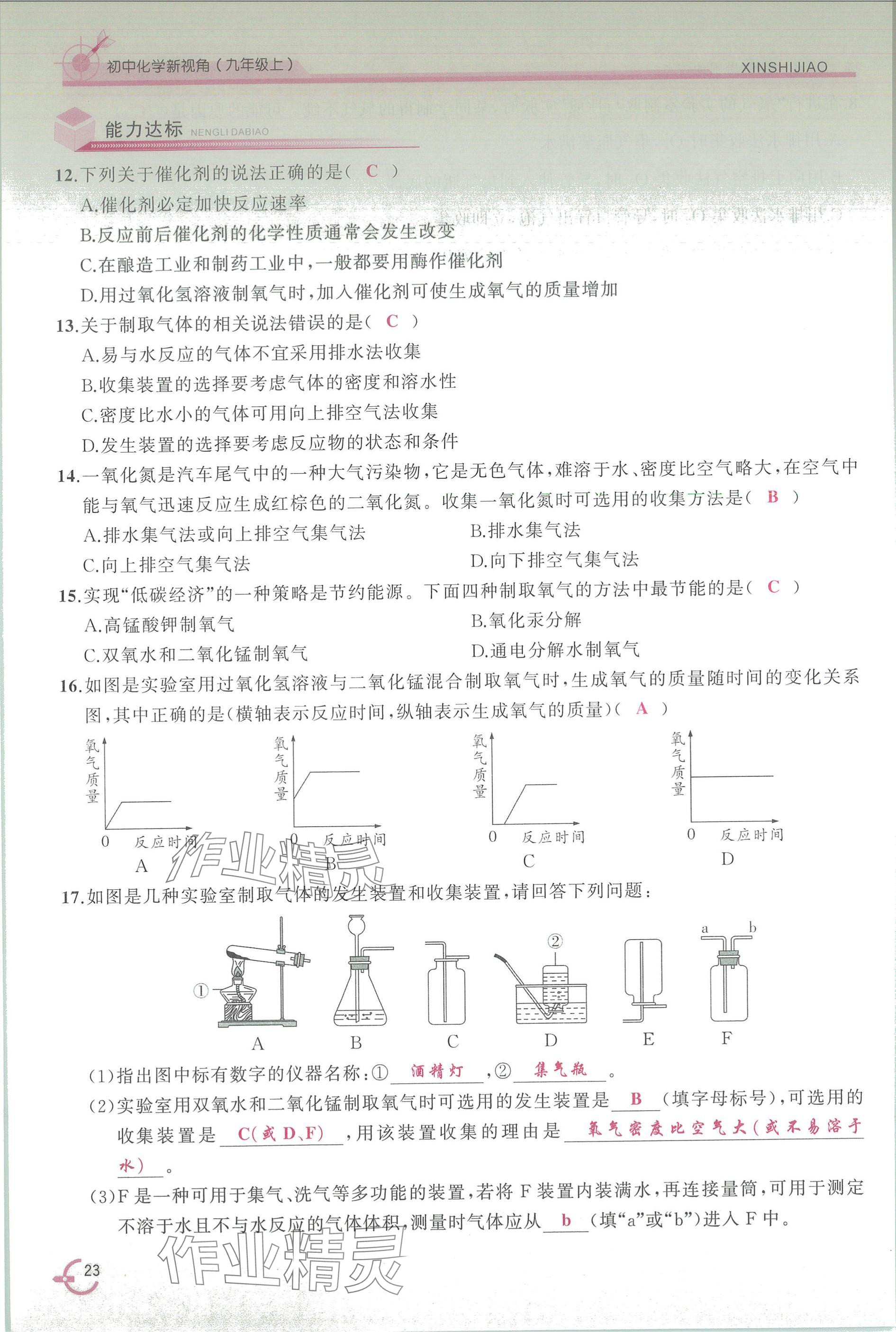 2025年新视角教辅系列丛书九年级化学上册人教版 参考答案第23页