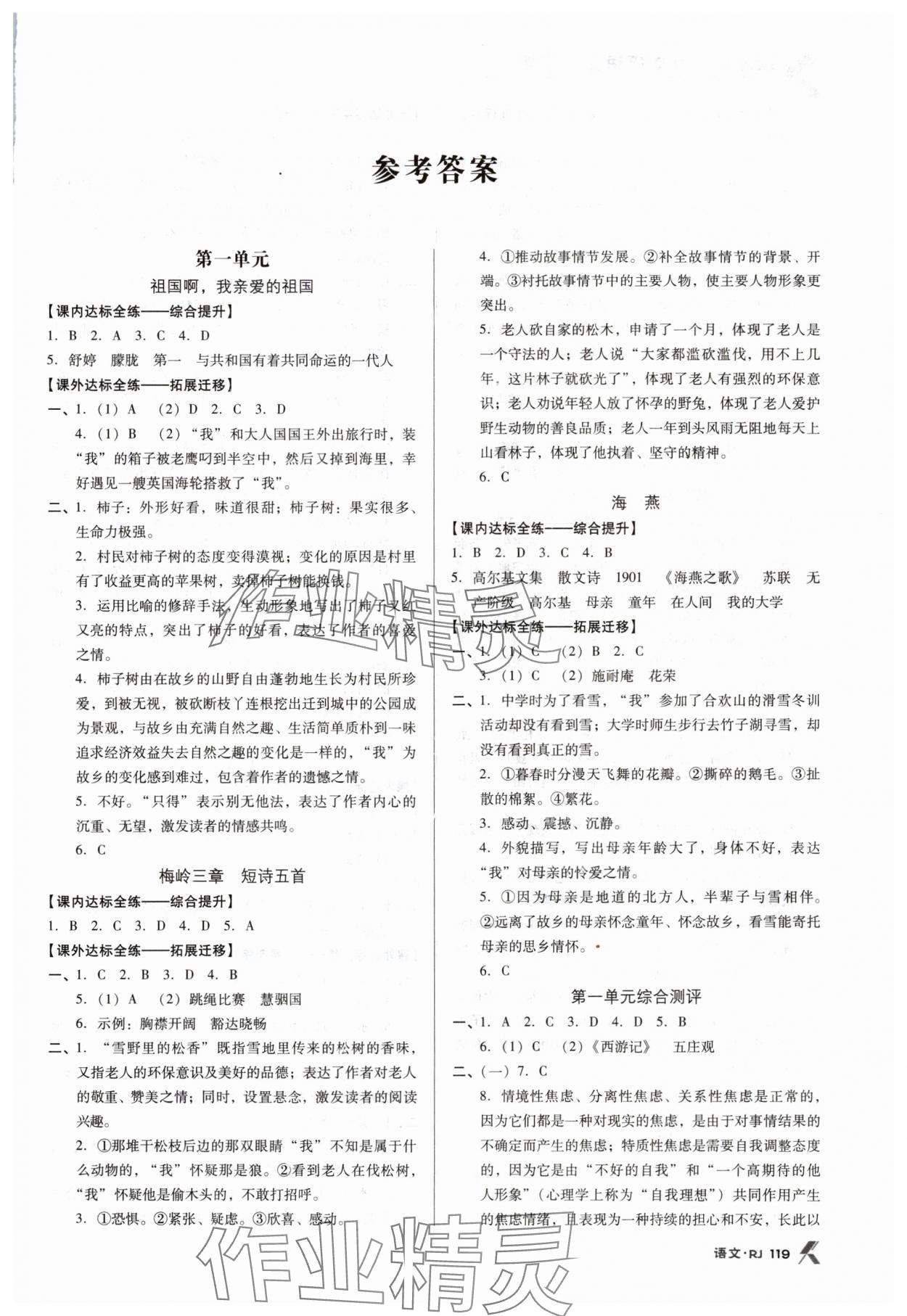 2024年全优点练课计划九年级语文下册人教版 第1页