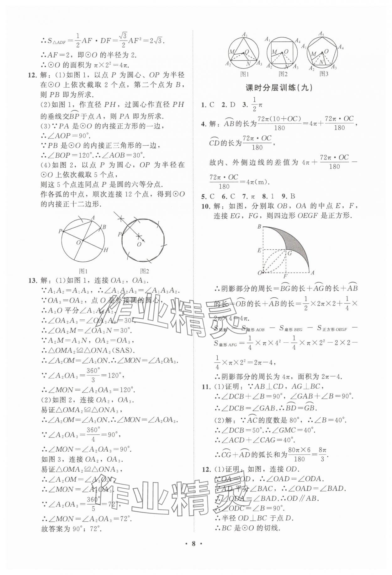 2025年同步練習冊分層卷九年級數學下冊魯教版五四制 參考答案第8頁