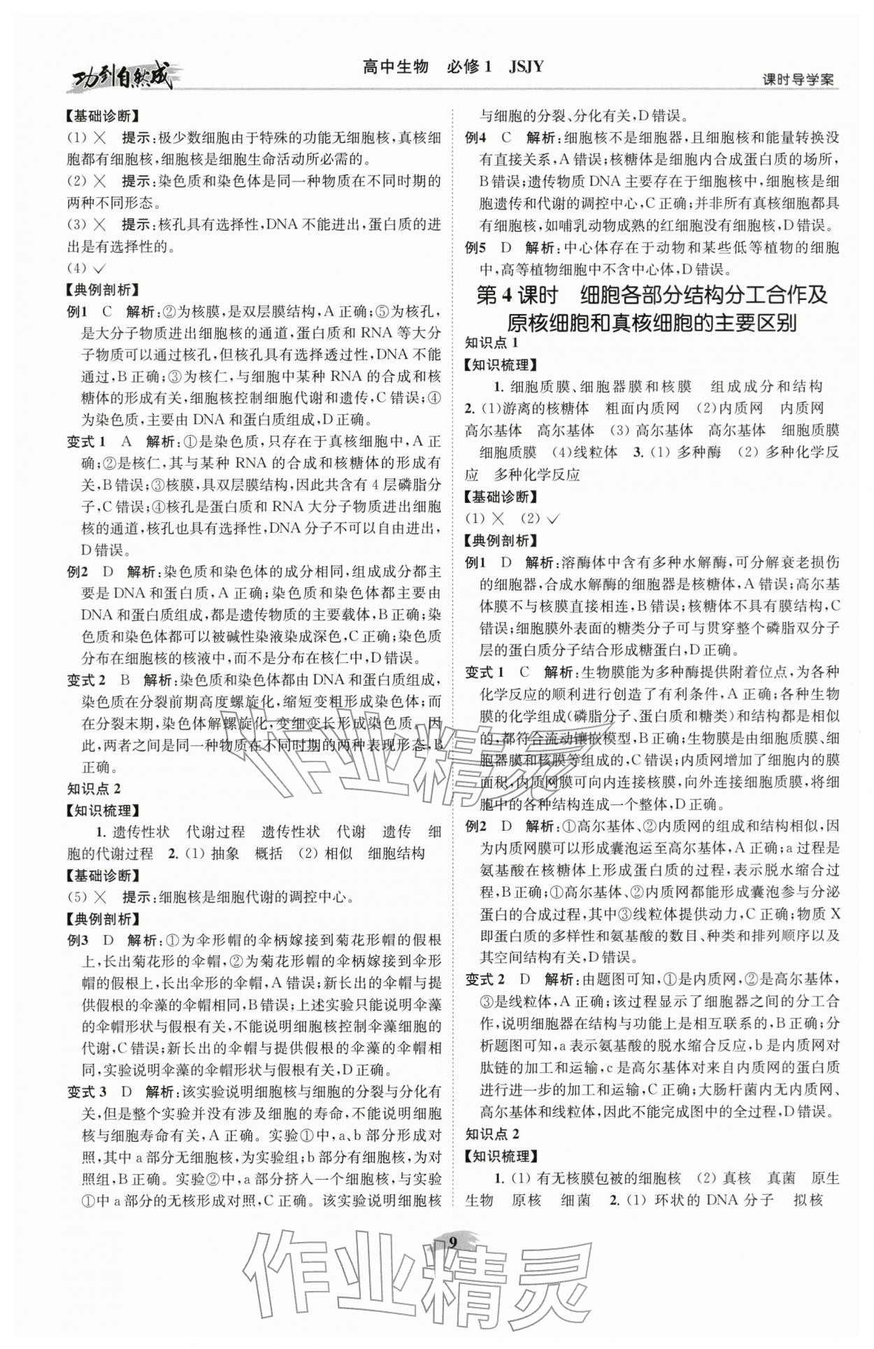 2025年功到自然成课时导学案高中生物必修1苏教版 参考答案第9页