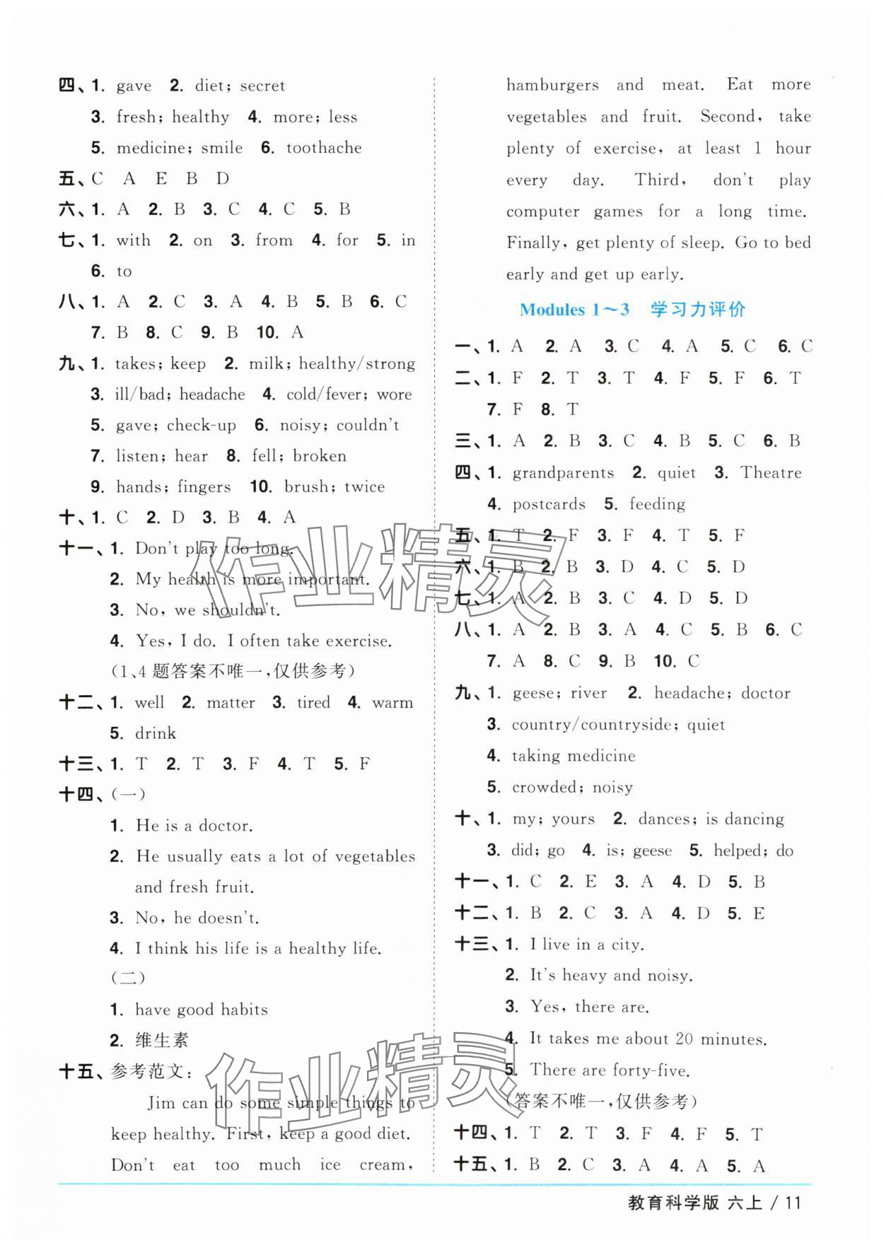 2025年阳光同学课时优化作业六年级英语上册教科版广州专版 第11页