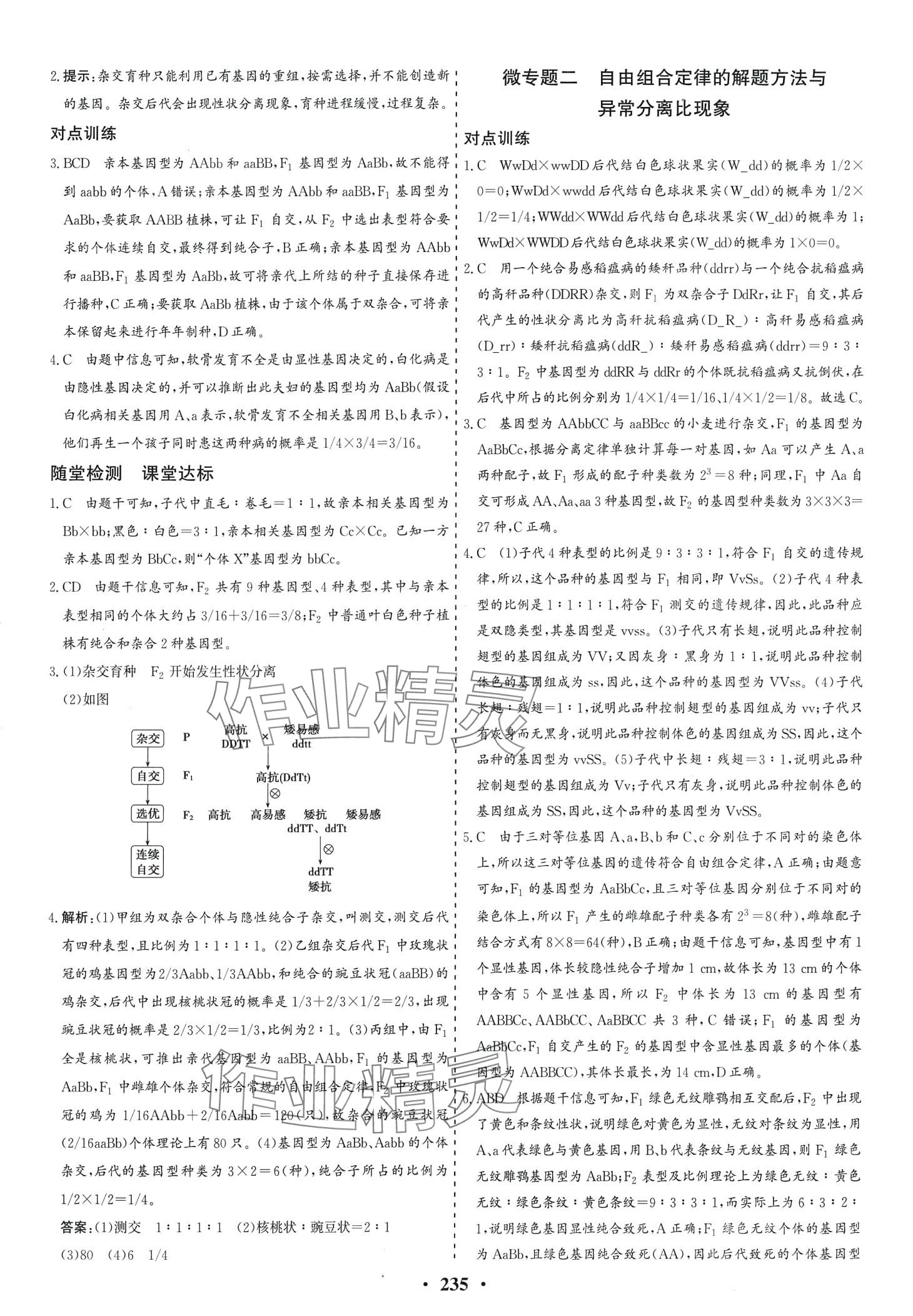 2024年創(chuàng)新思維同步導(dǎo)學(xué)案高中生物必修2人教版 第5頁