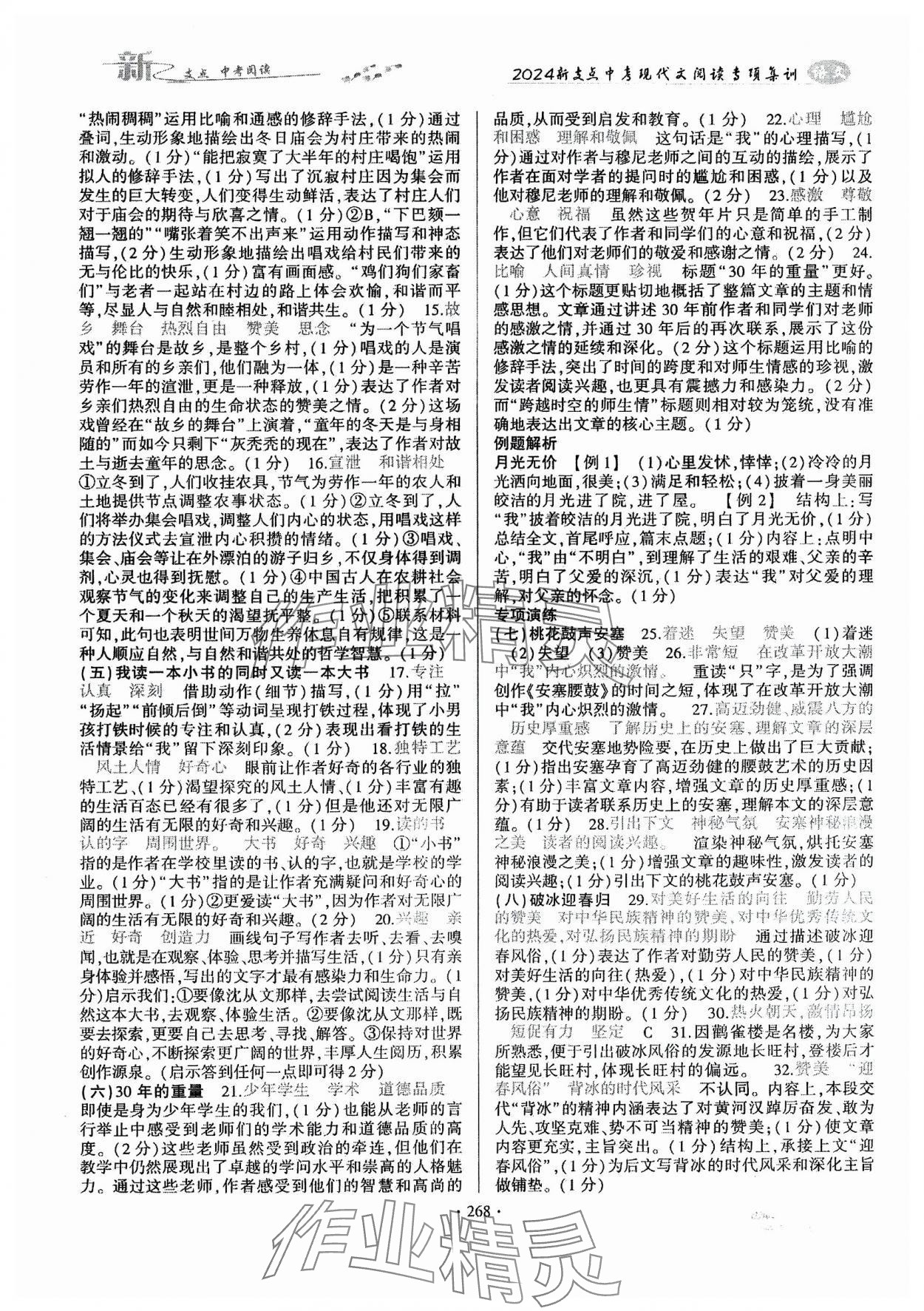 2024年新支點(diǎn)中考現(xiàn)代文閱讀專項(xiàng)集訓(xùn)語文 第2頁