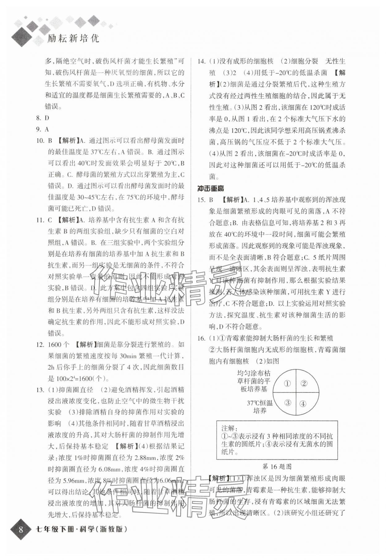 2025年勵(lì)耘新培優(yōu)七年級(jí)科學(xué)下冊浙教版 參考答案第7頁