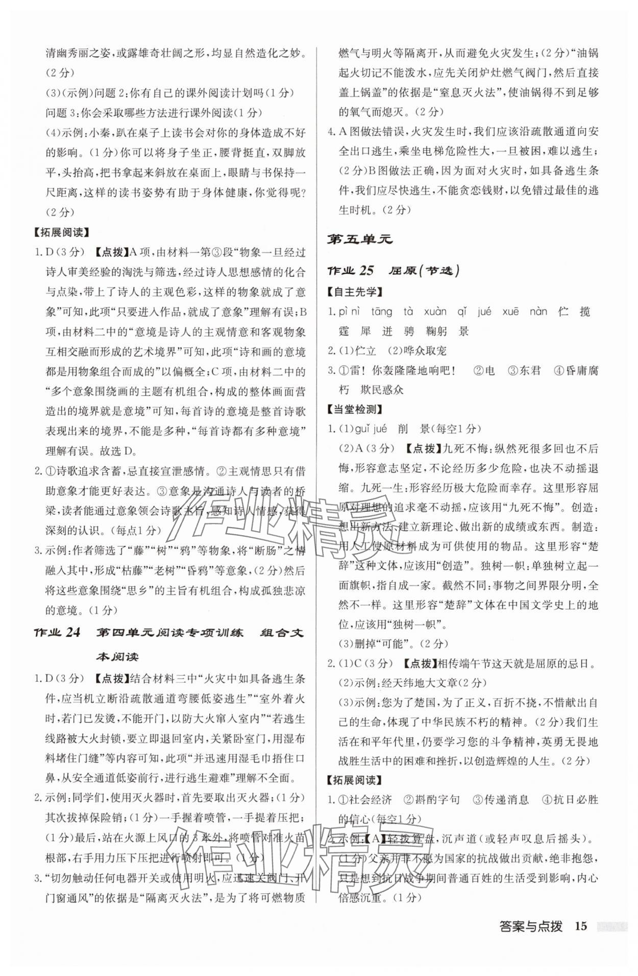 2025年啟東中學(xué)作業(yè)本九年級(jí)語(yǔ)文下冊(cè)人教版宿遷專(zhuān)版 參考答案第15頁(yè)