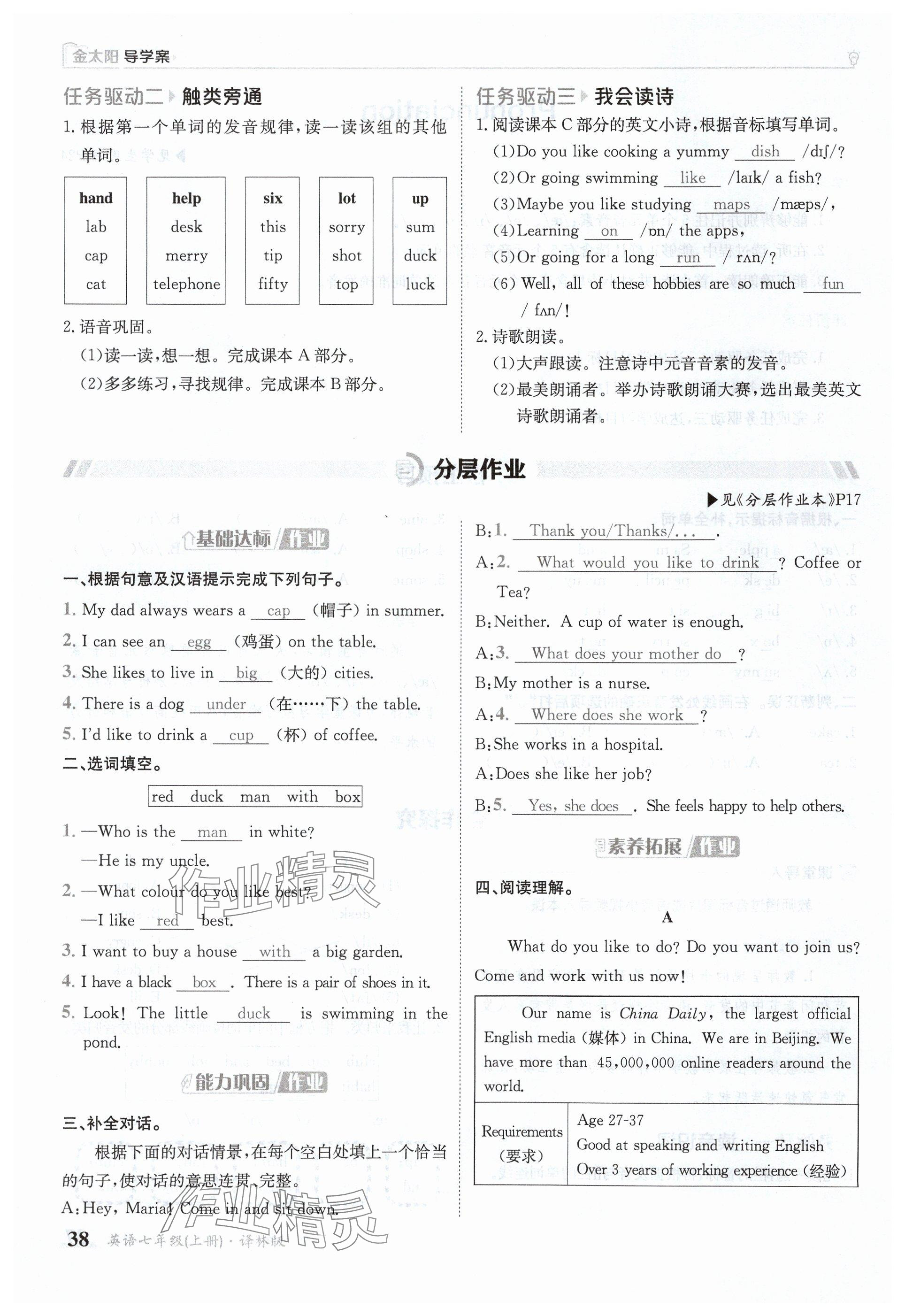 2024年金太阳导学案七年级英语上册译林版 参考答案第38页