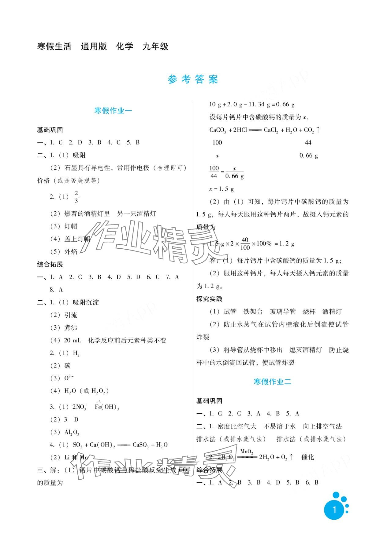 2024年寒假生活河北少年儿童出版社九年级化学 第1页