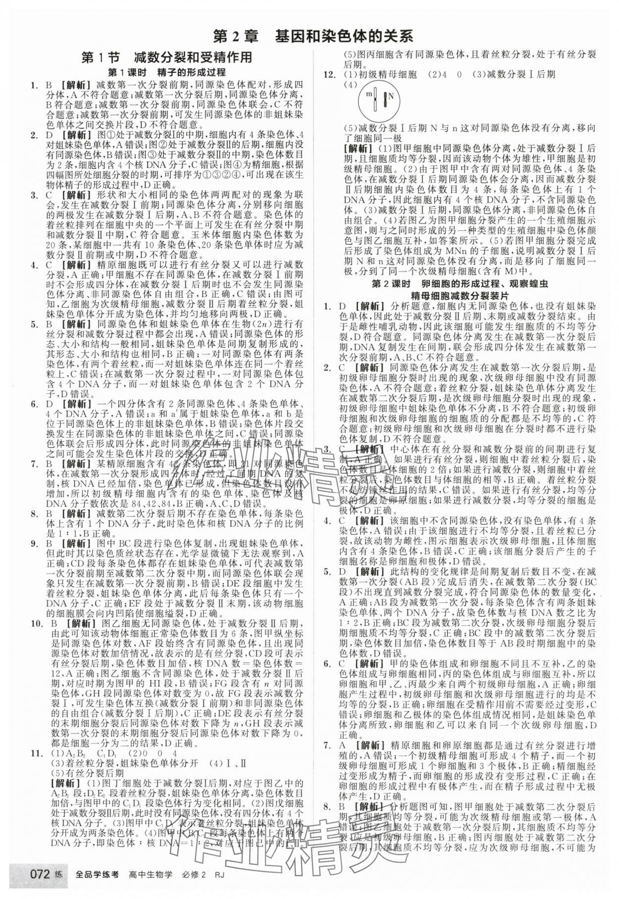 2025年全品學練考高中生物必修2人教版 第6頁
