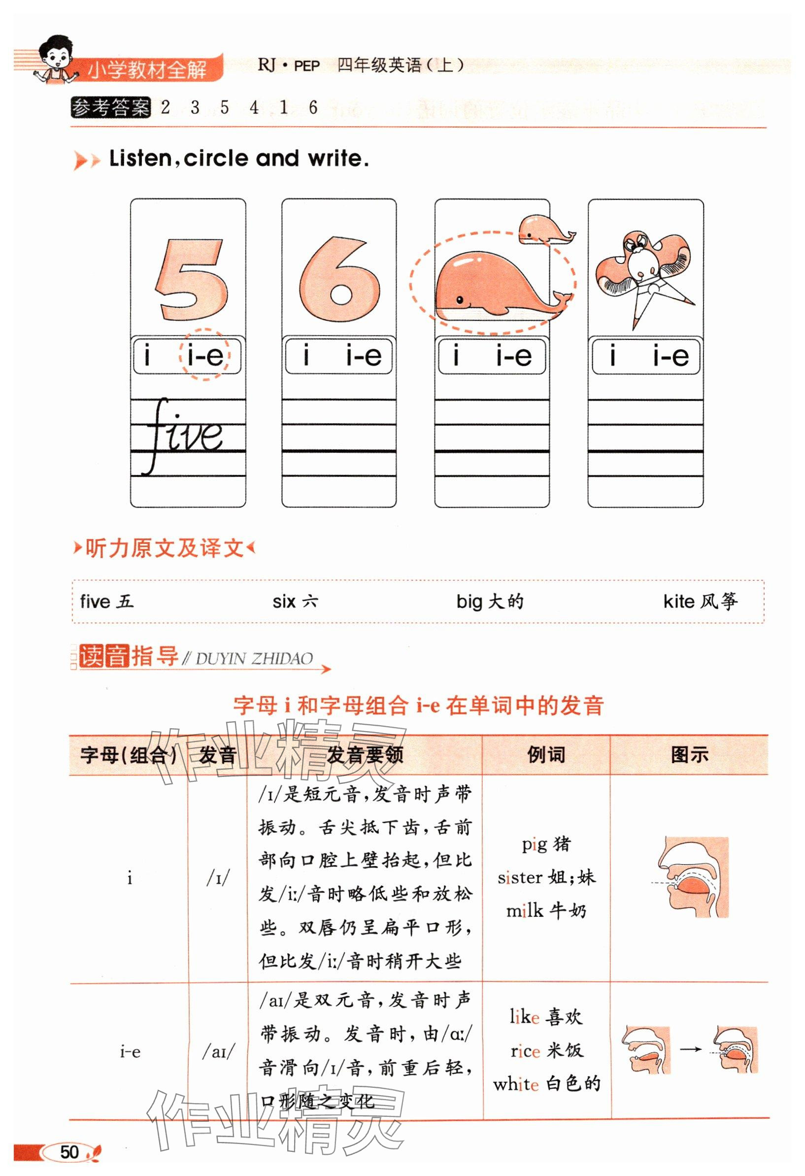 2024年教材课本四年级英语上册人教版 参考答案第50页