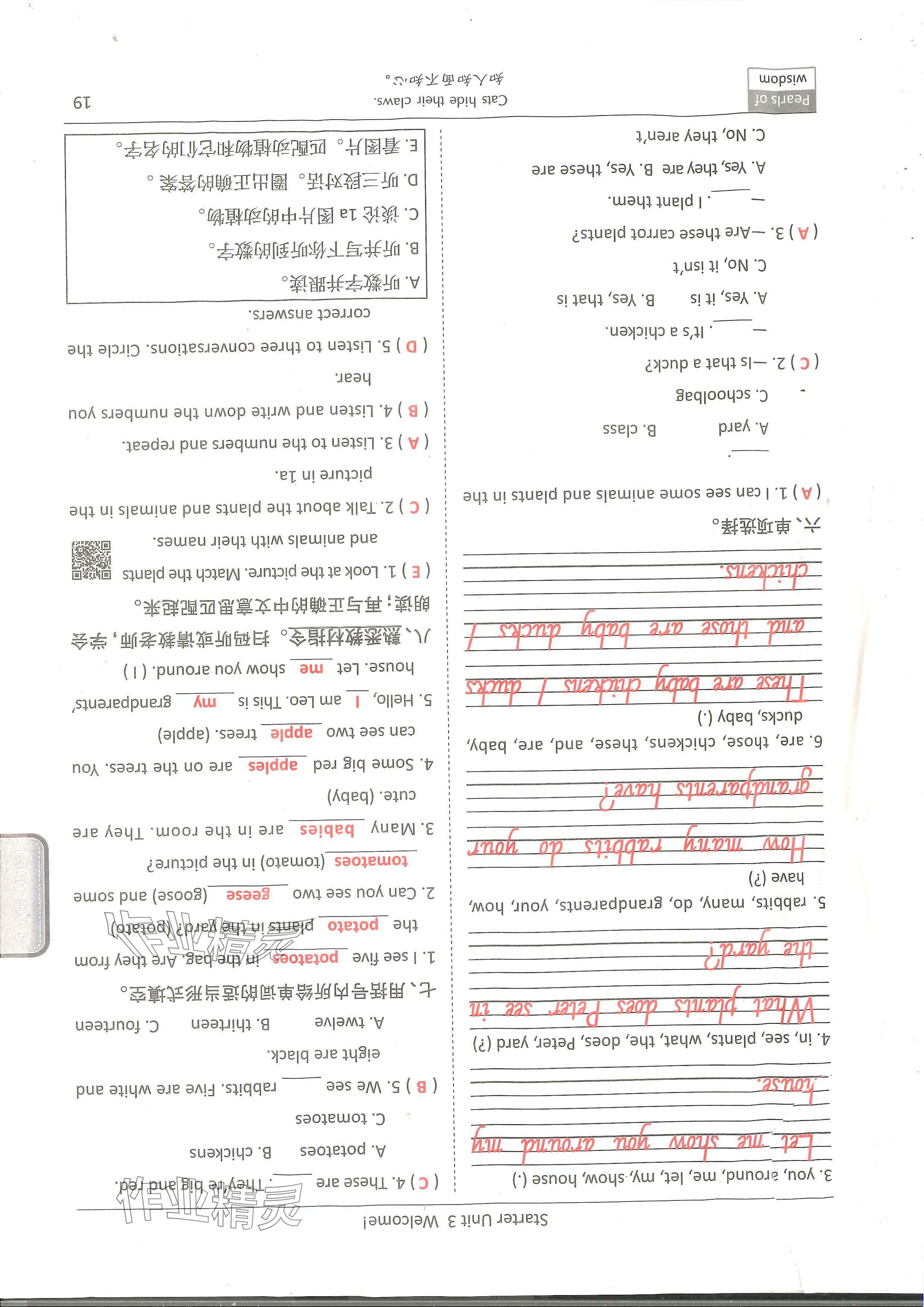 2024年新视界单元复习七年级英语上册人教版&nbsp;参考答案第18页