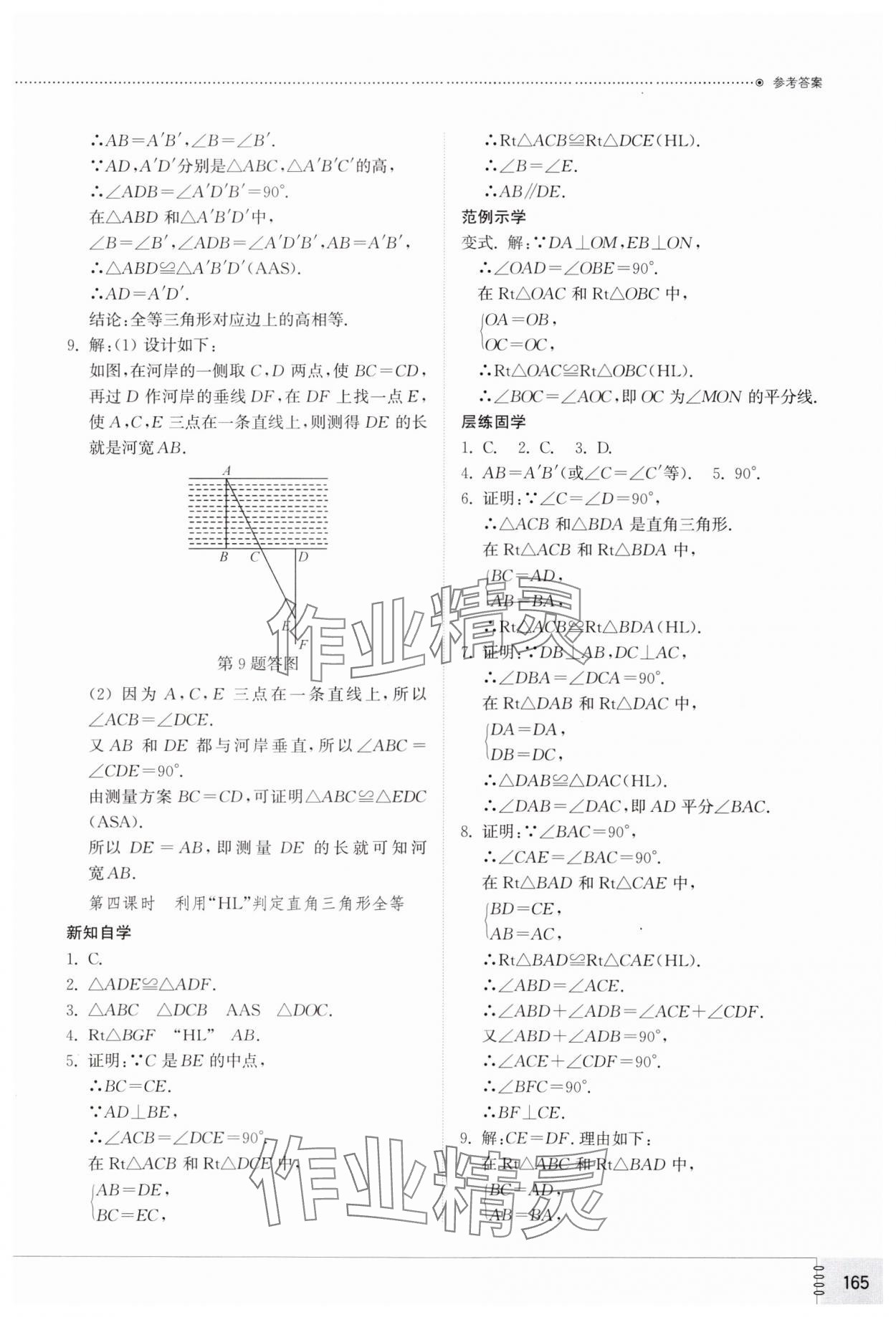 2024年同步练习册山东教育出版社八年级数学上册人教版 第7页