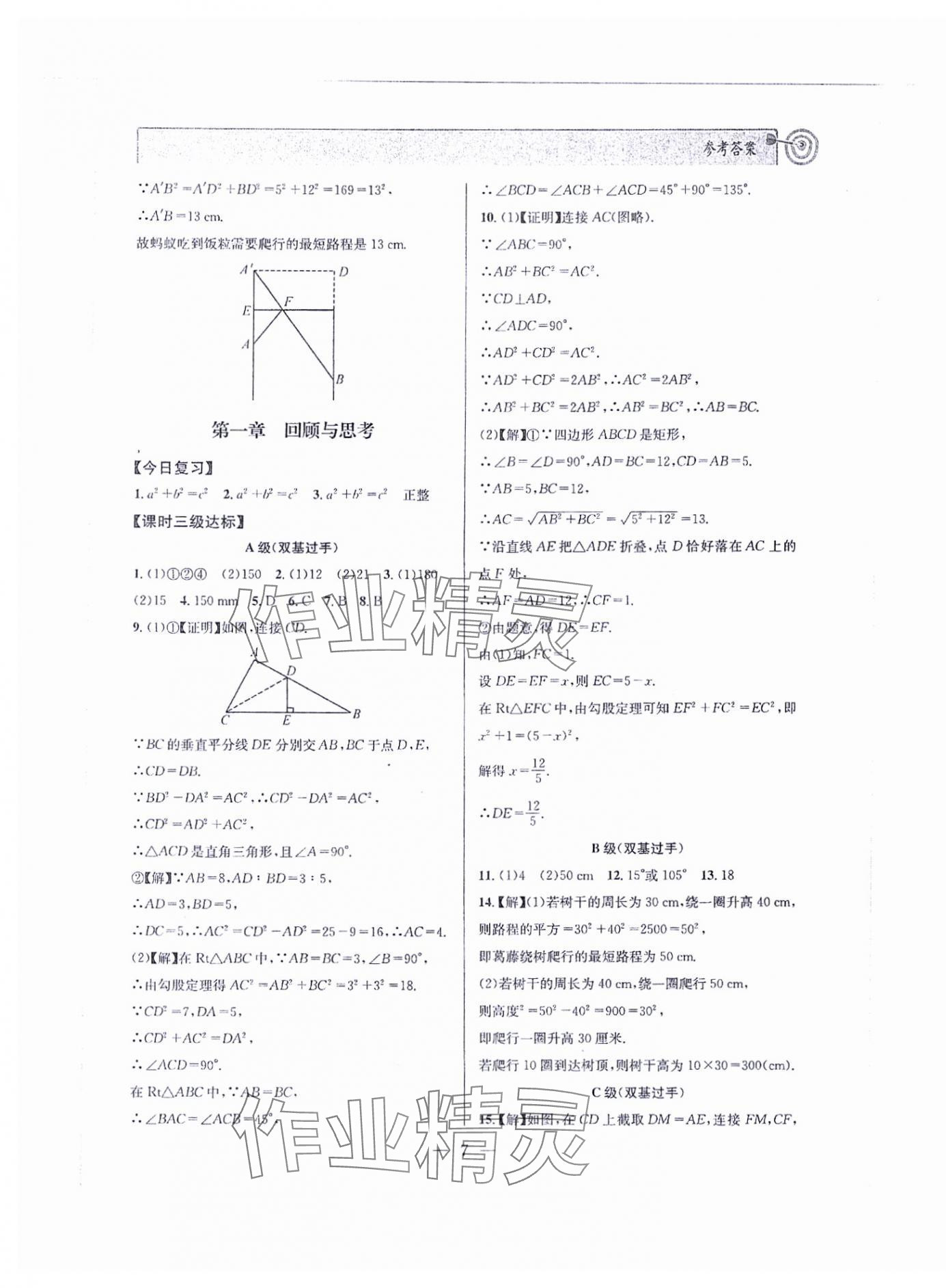 2024年天府前沿八年級數(shù)學上冊北師大版 第7頁