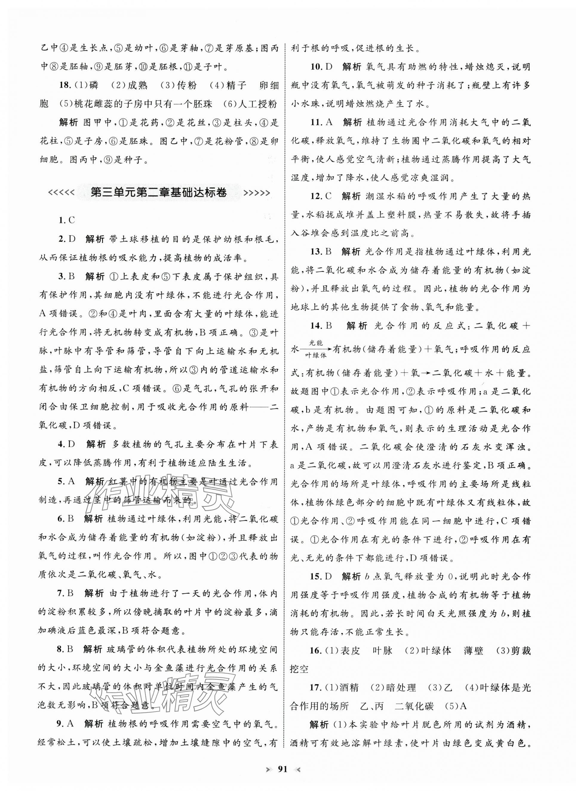 2025年學習目標與檢測同步測試卷七年級生物下冊人教版 第3頁