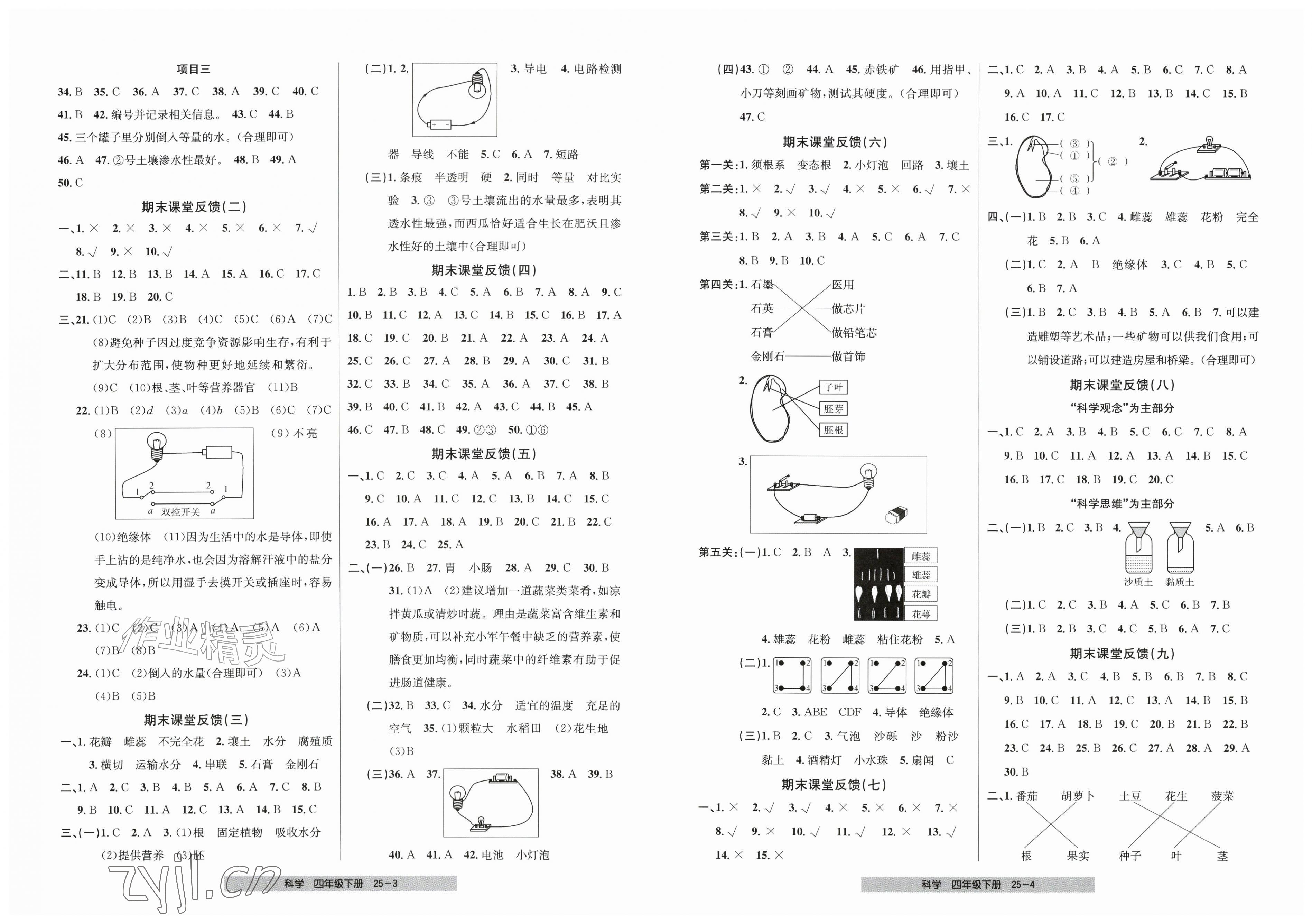 2026年期末直通车四年级科学下册教科版&nbsp;第2页