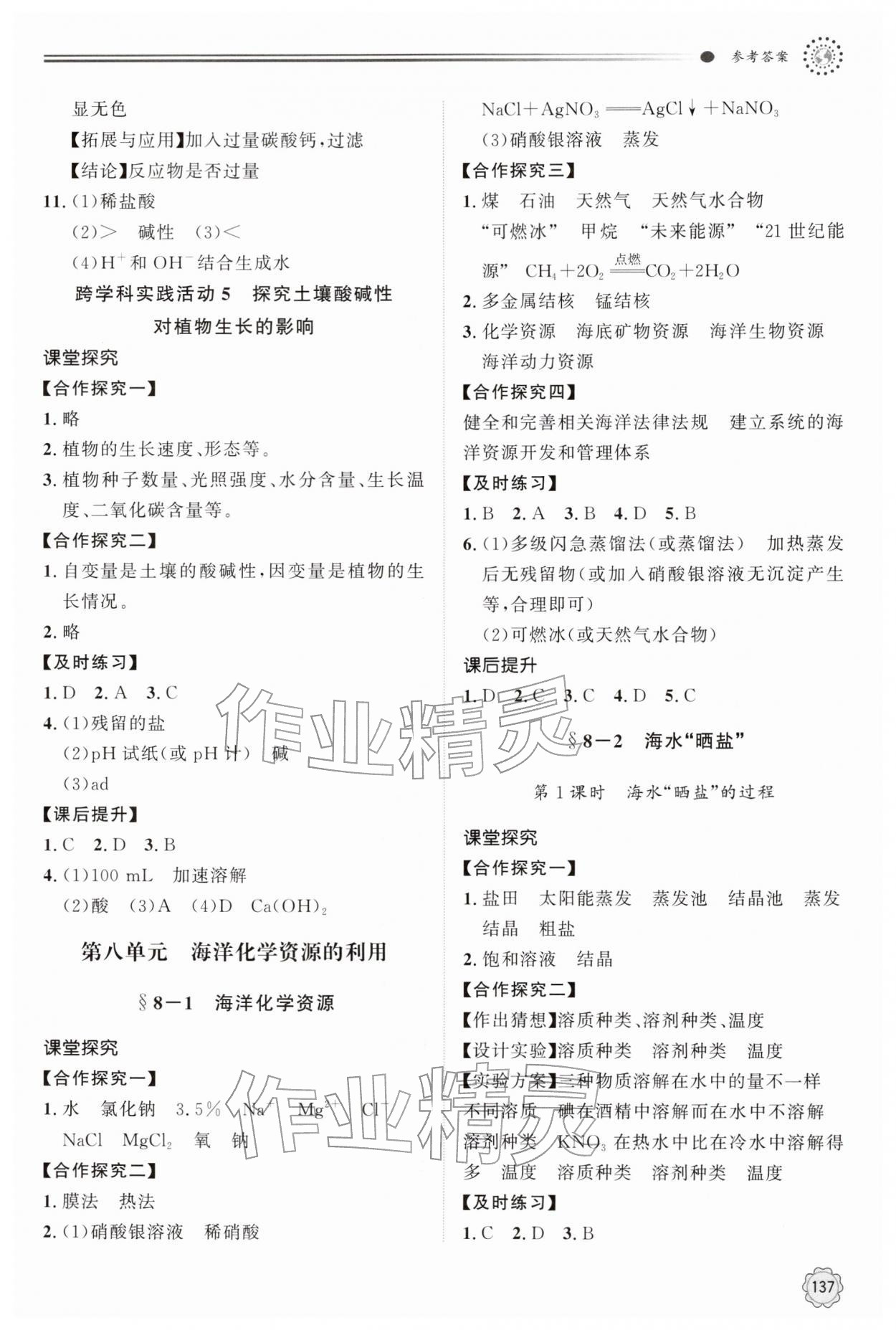 2026年同步练习册明天出版社九年级化学下册鲁教版&nbsp;第5页