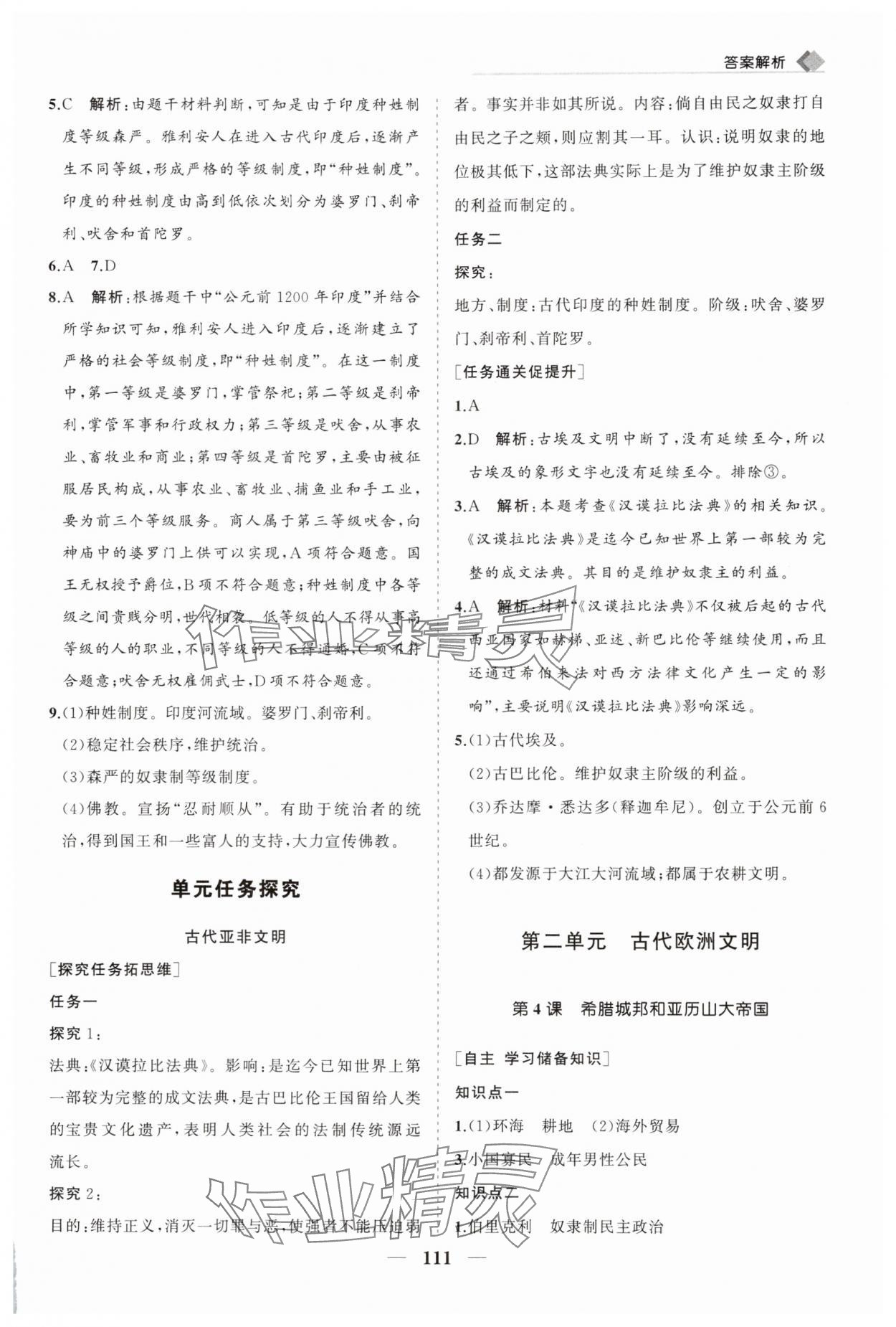 2025年新课程同步练习册九年级历史上册人教版&nbsp;第3页