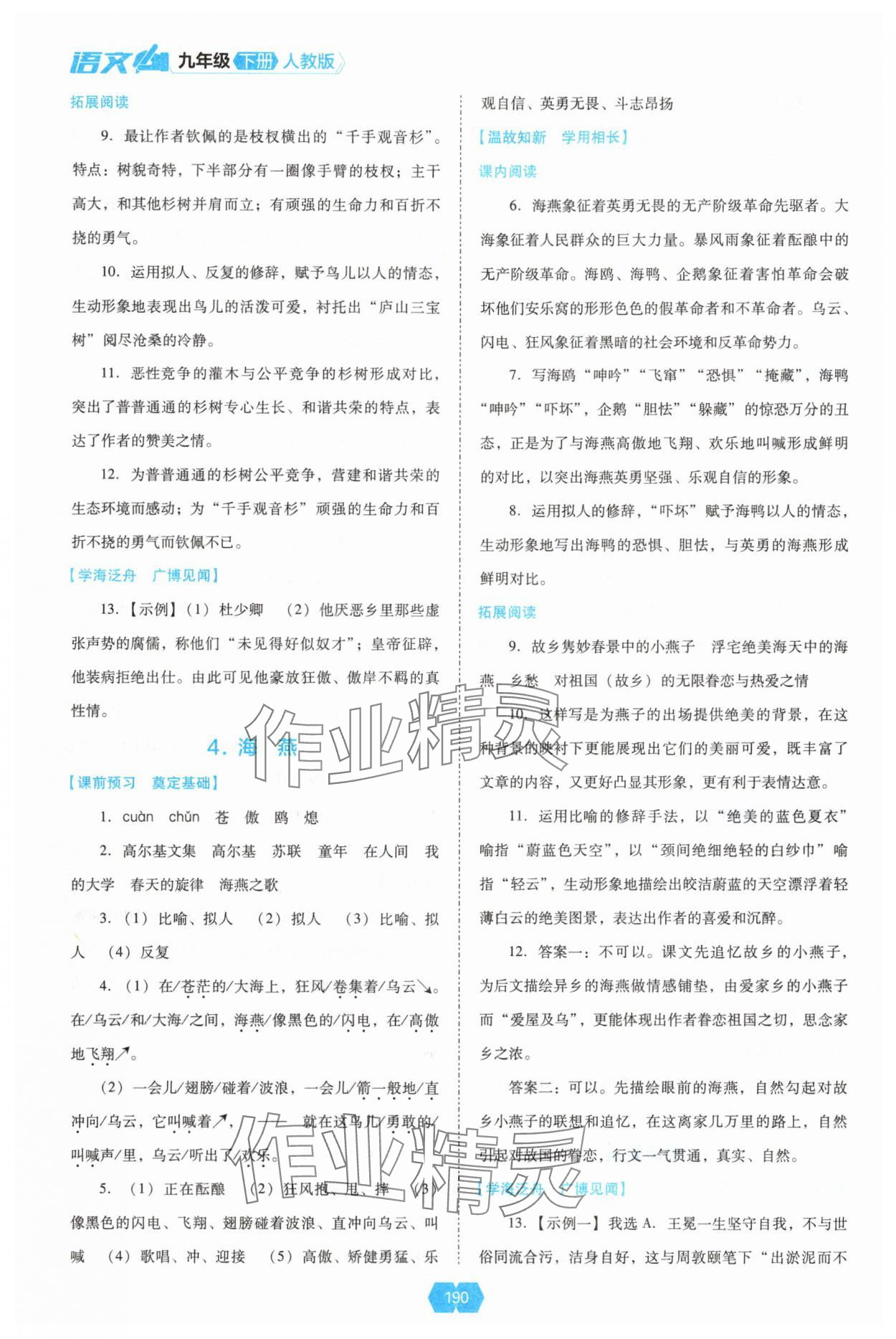 2025年新课程能力培养九年级语文下册人教版 参考答案第3页