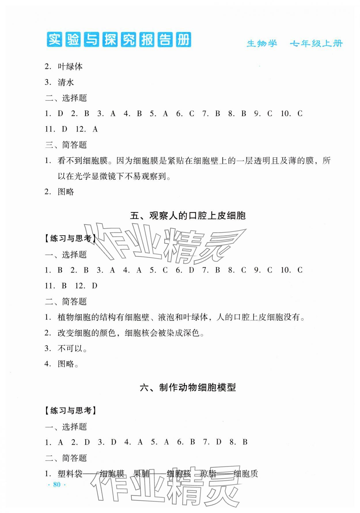 2023年实验与探究报告册七年级生物上册人教版 第2页