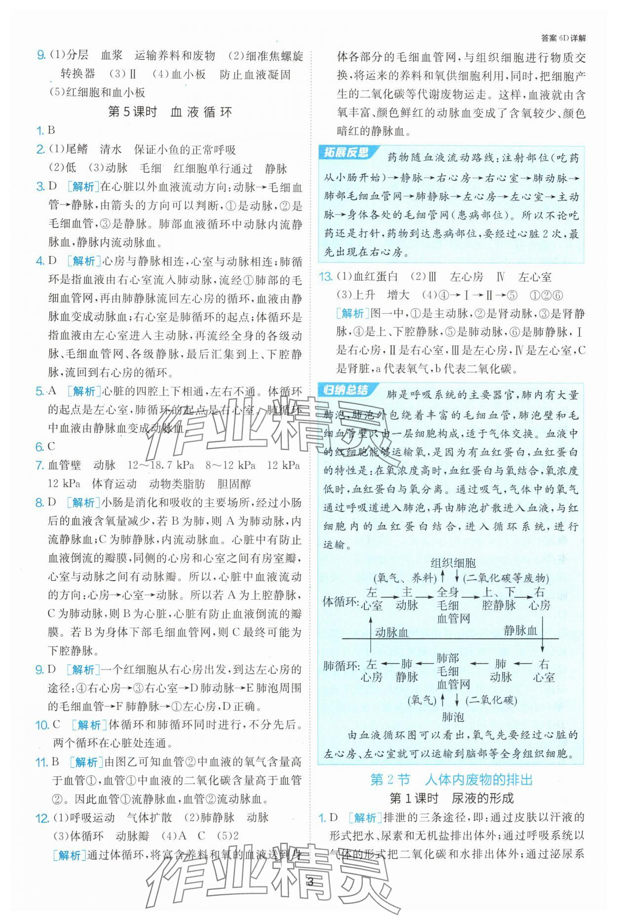 2024年课时训练江苏人民出版社八年级生物上册苏科版 参考答案第3页