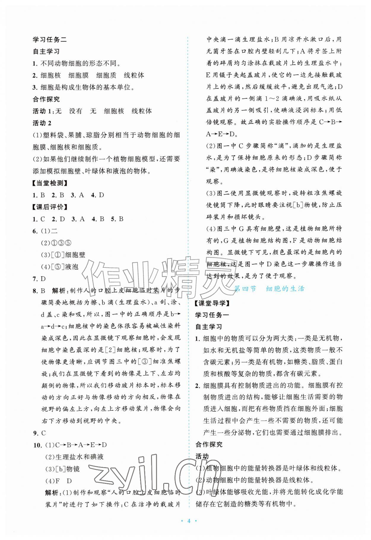 2026年配套综合练习甘肃七年级生物上册人教版&nbsp;第4页
