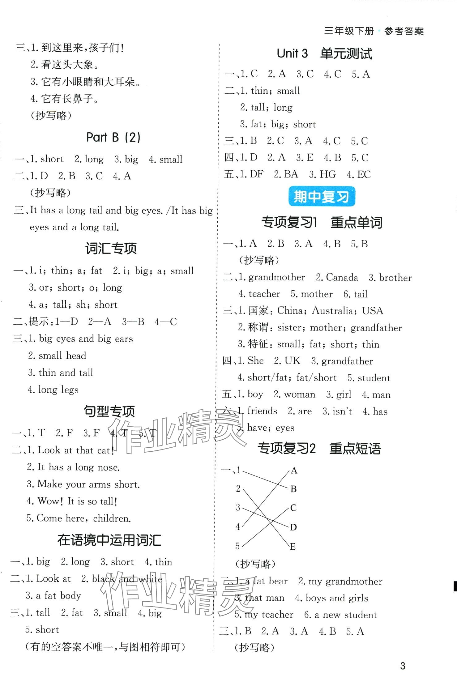 2024年七彩課堂默寫天天練三年級英語下冊人教PEP版 第3頁