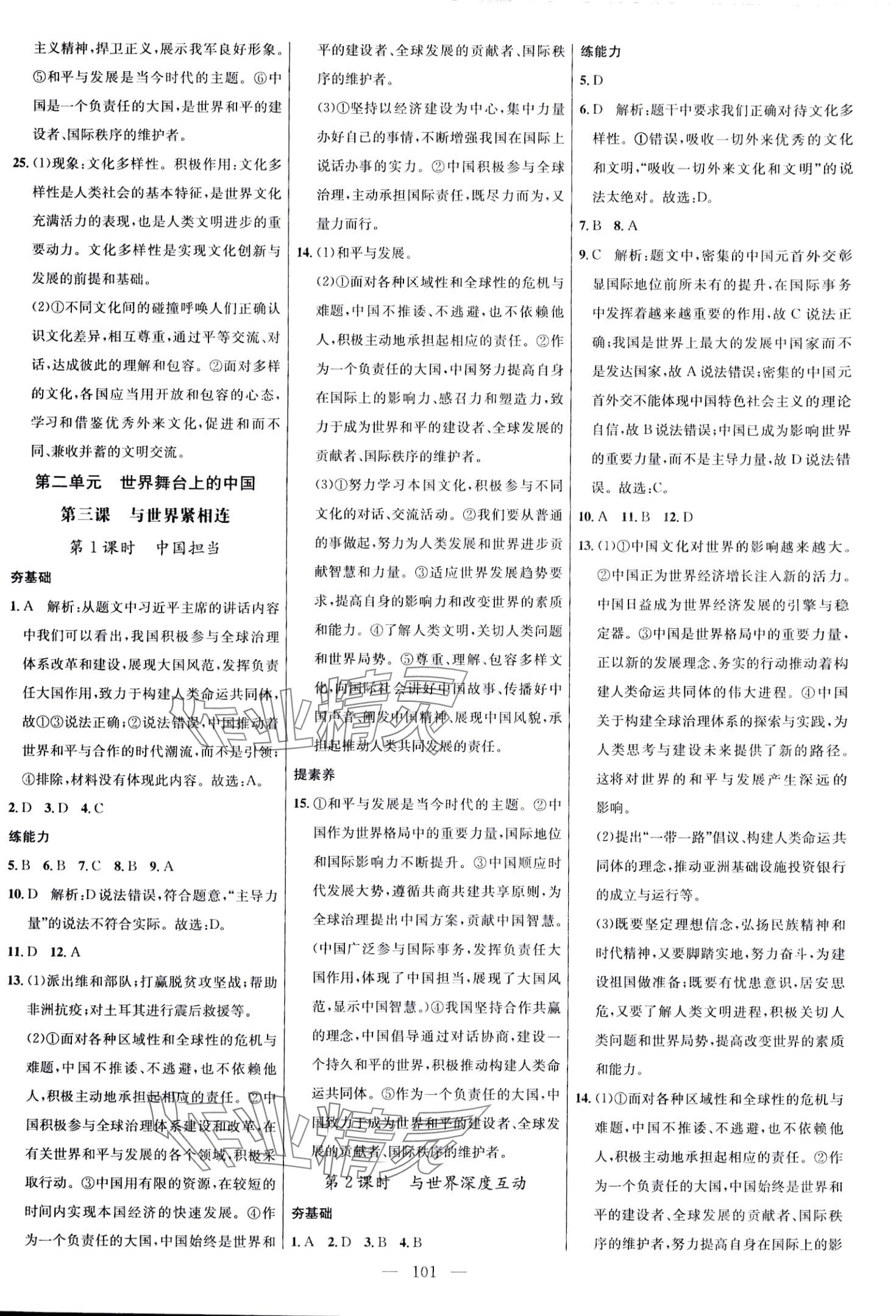 2024年细解巧练九年级道德与法治下册人教版 第5页