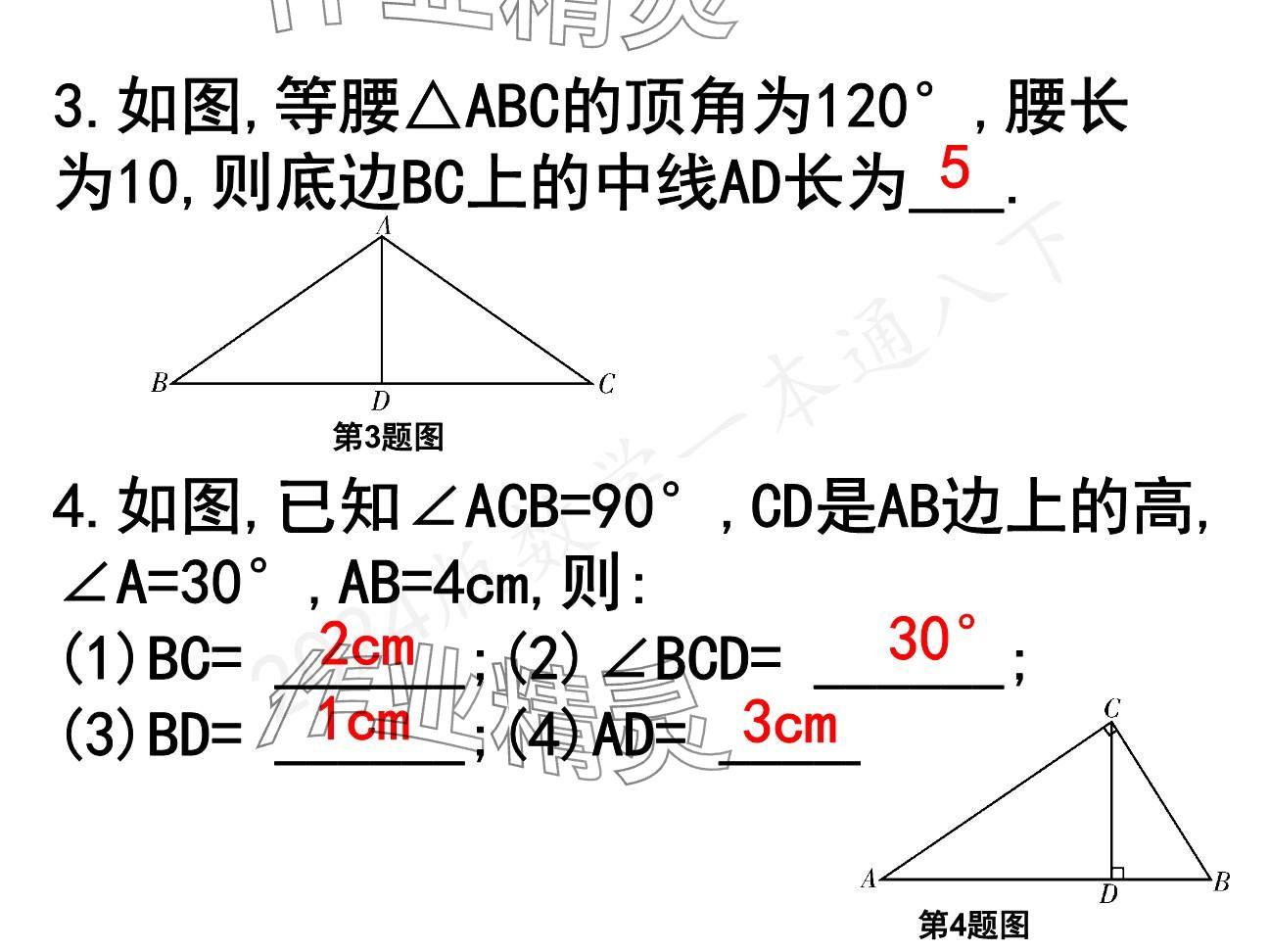 2025年一本通武漢出版社八年級數(shù)學下冊北師大版精簡版 參考答案第30頁