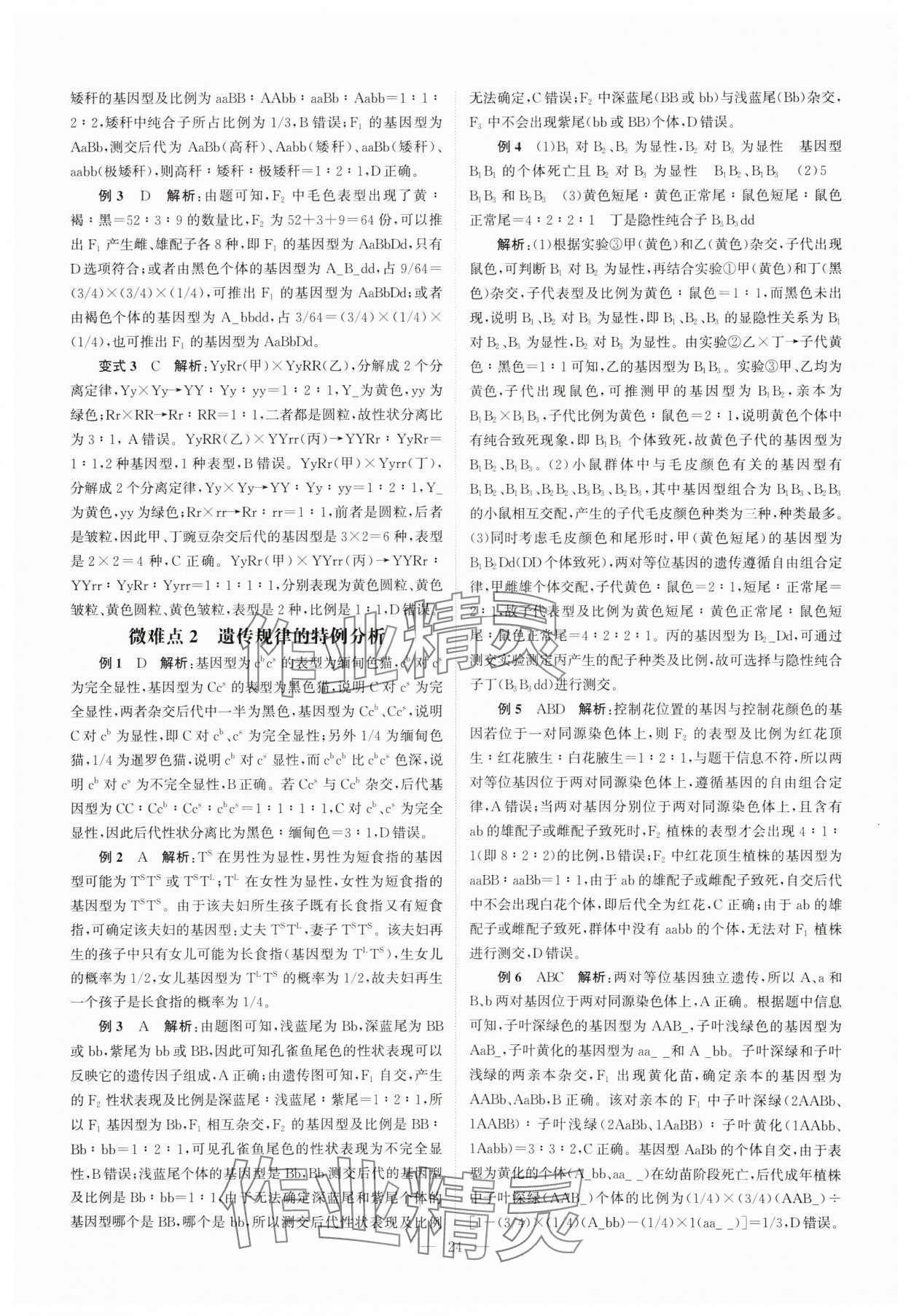 2025年南方凤凰台5A新考案生物江苏专版&nbsp;第24页