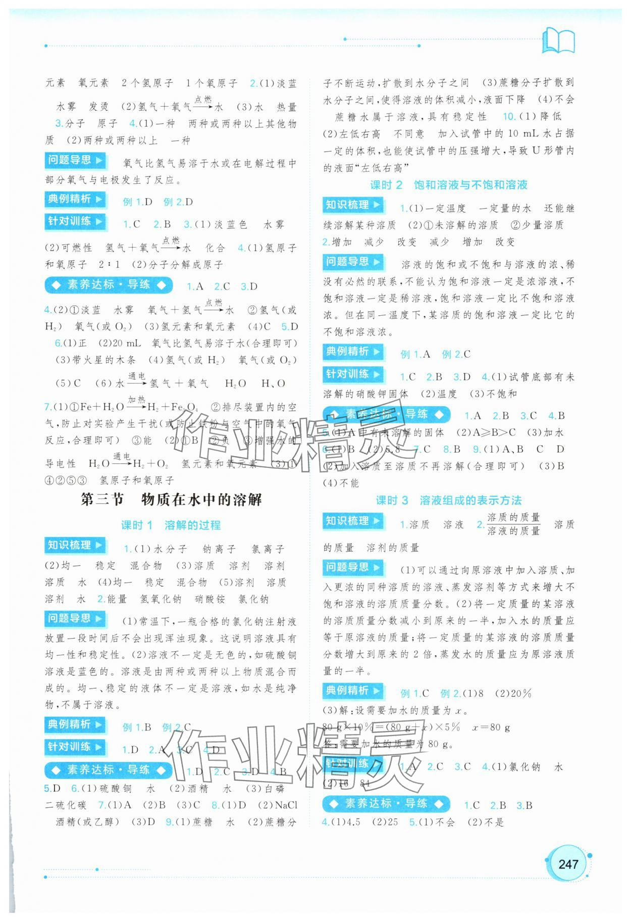 2025年新课程学习与测评同步学习九年级化学全一册鲁教版 第5页