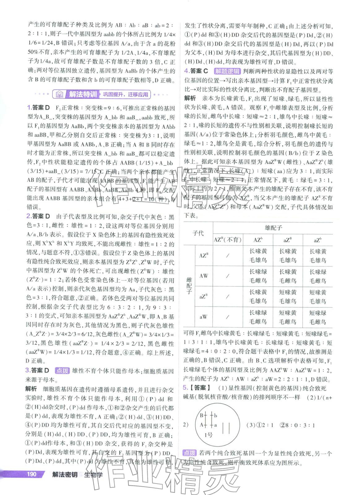 2026年53解法密钥高考生物 第12页