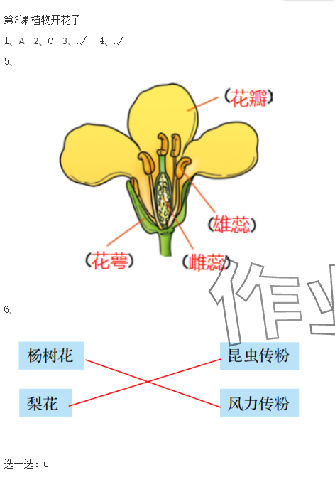 2024年科學(xué)素養(yǎng)提升三年級下冊蘇教版 參考答案第2頁