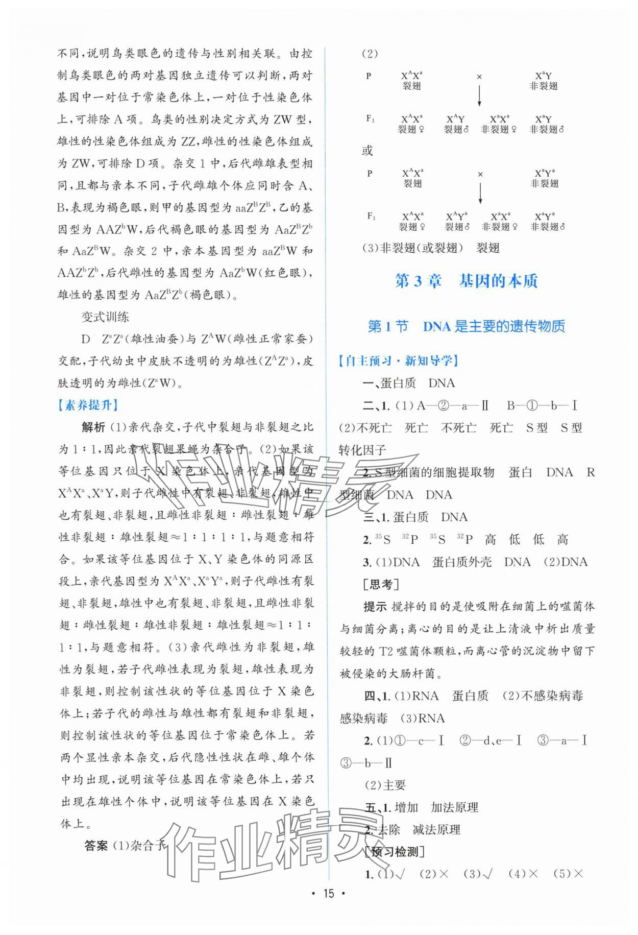 2025年高中同步測控優(yōu)化設(shè)計(jì)高中生物必修2人教版增強(qiáng)版 參考答案第14頁