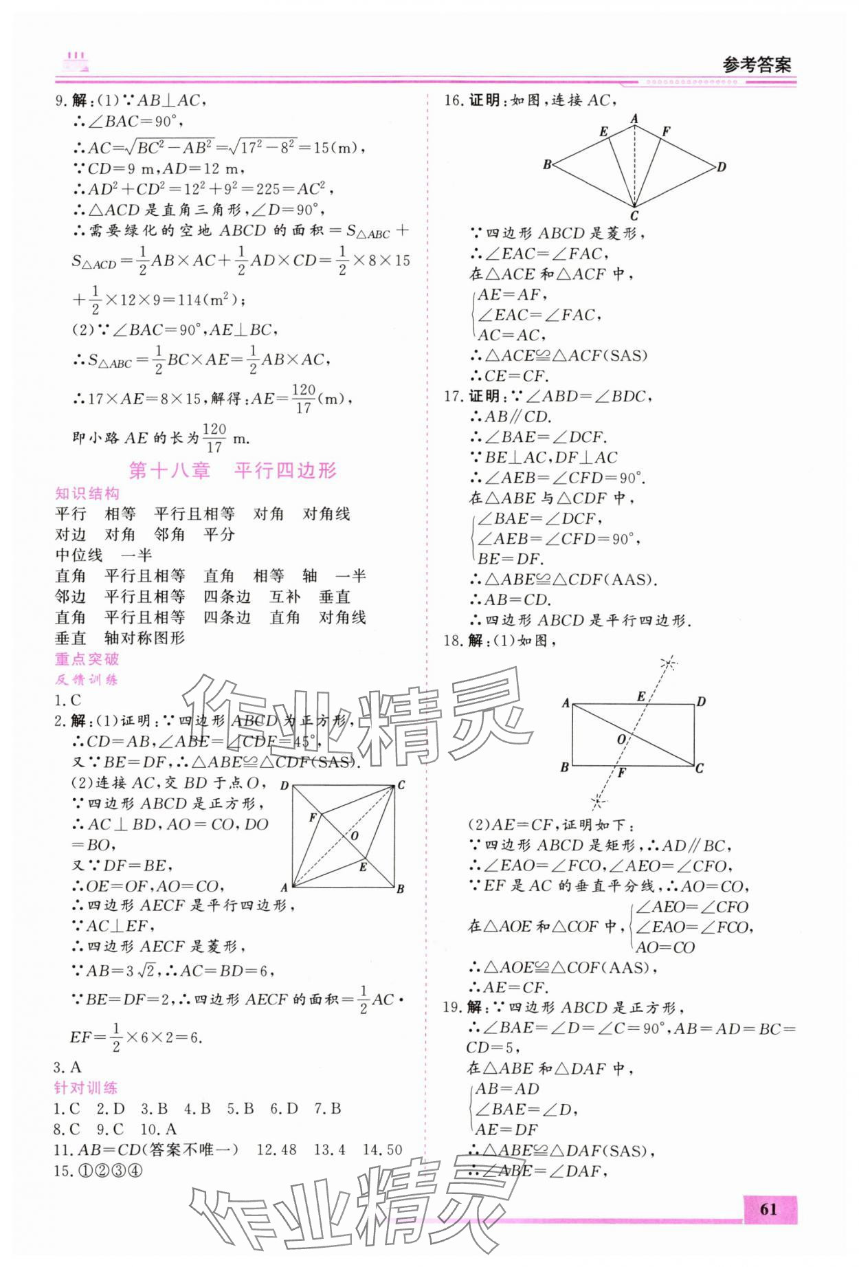 2025年暑假作业内蒙古大学出版社八年级数学 第3页