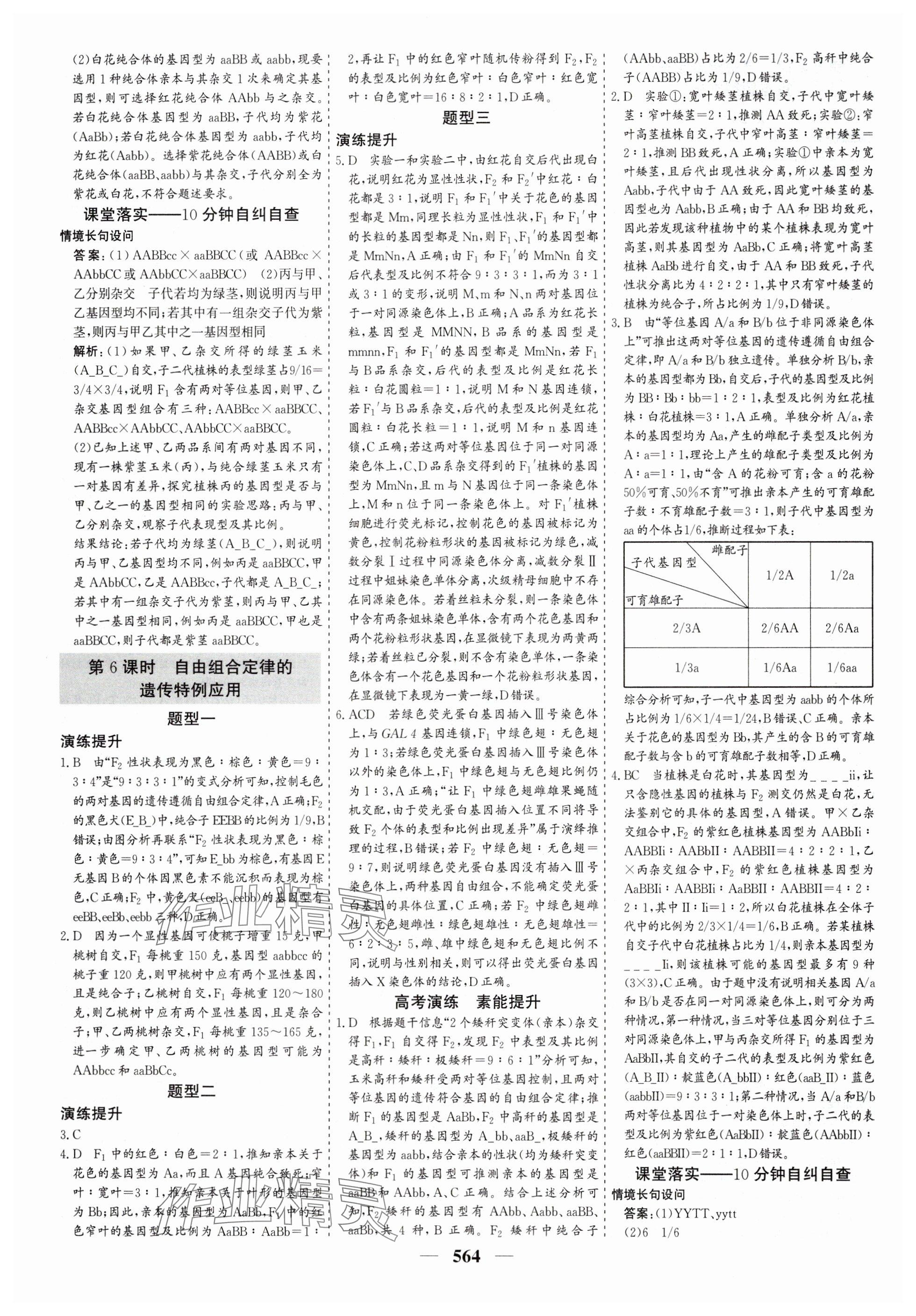 2025年優化探究高考總復習高中生物全一冊人教版 參考答案第24頁
