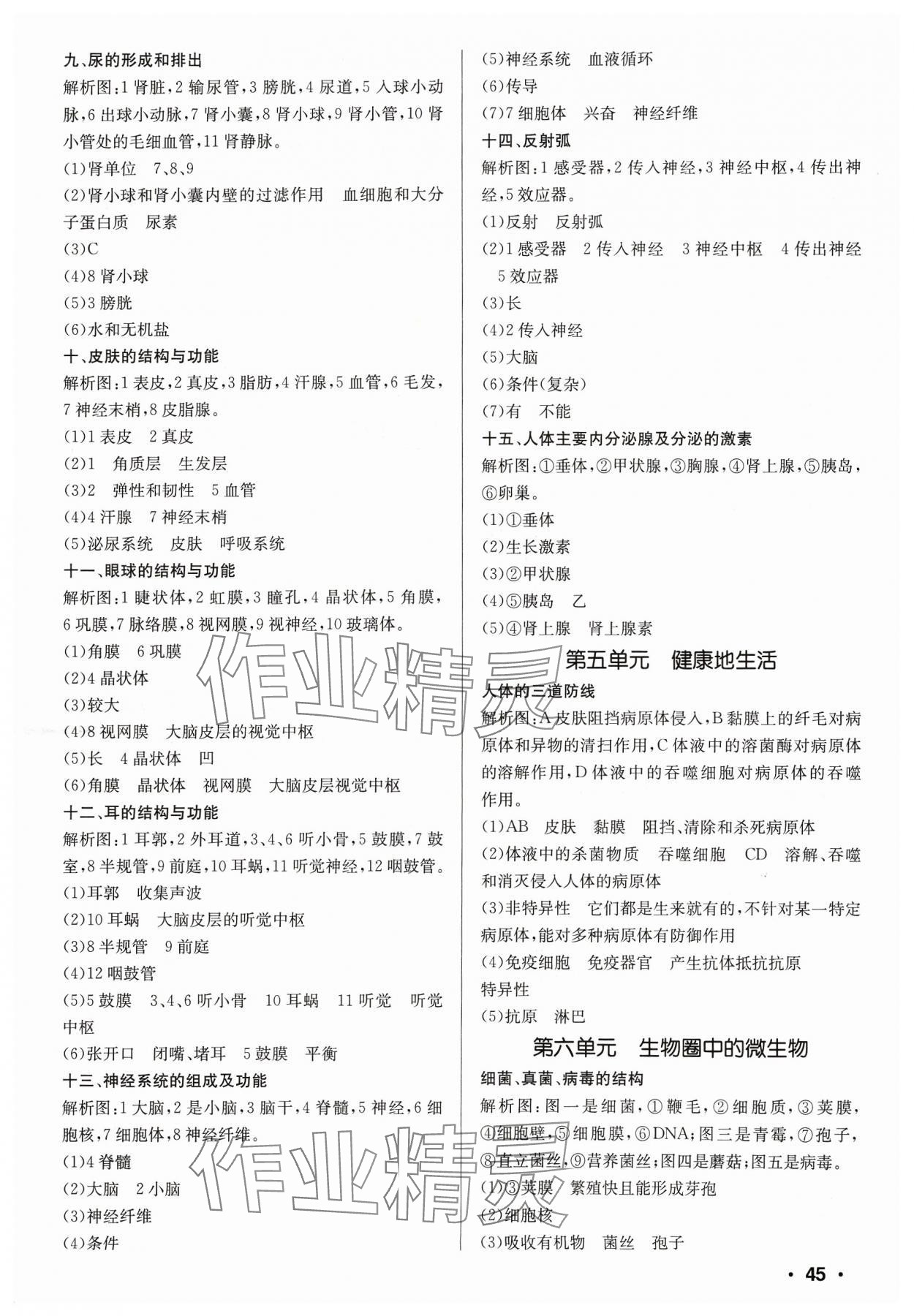 2024年中考對策生物魯科版 第3頁