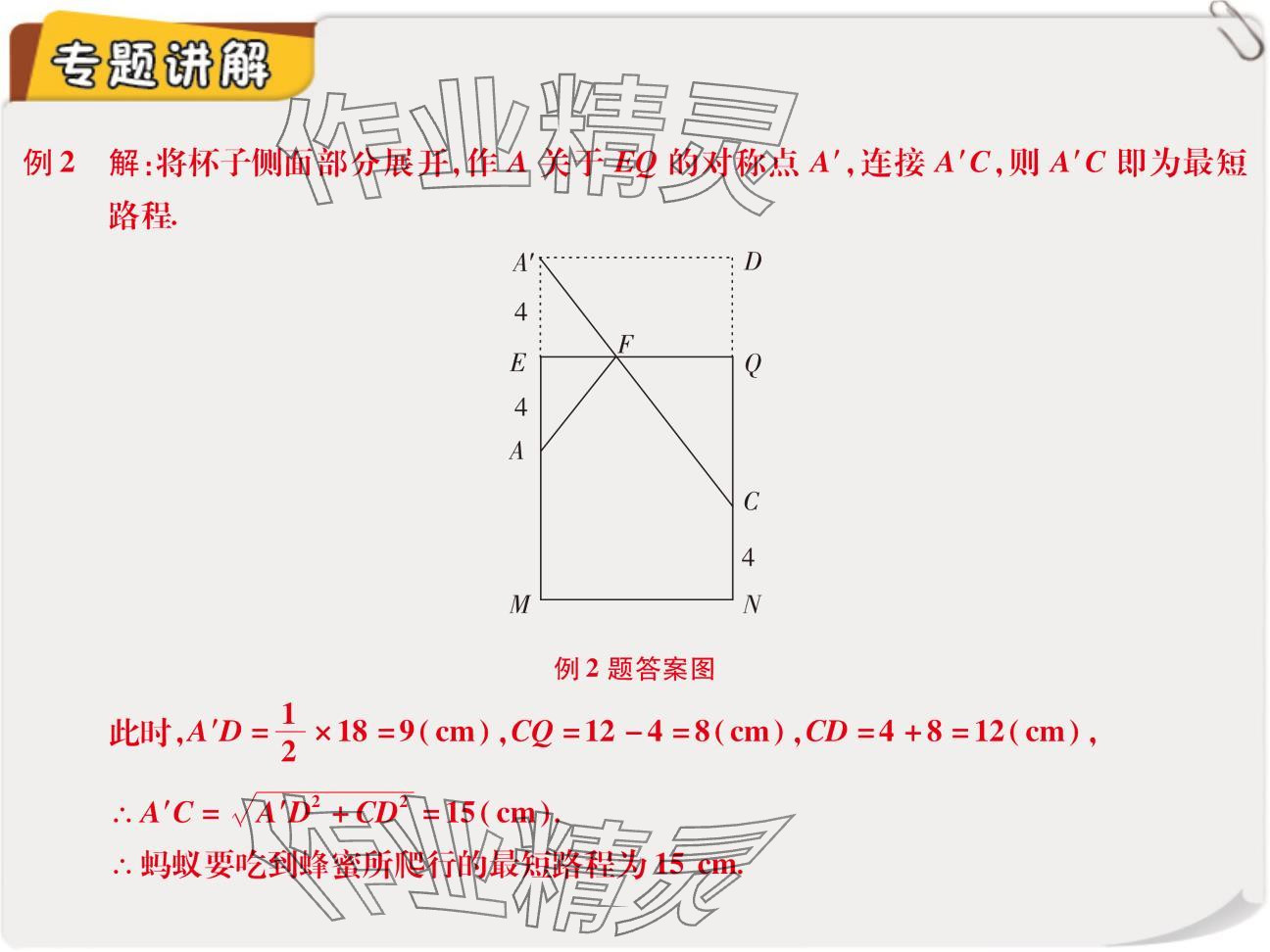 2024年复习直通车期末复习与假期作业八年级数学北师大版 参考答案第25页