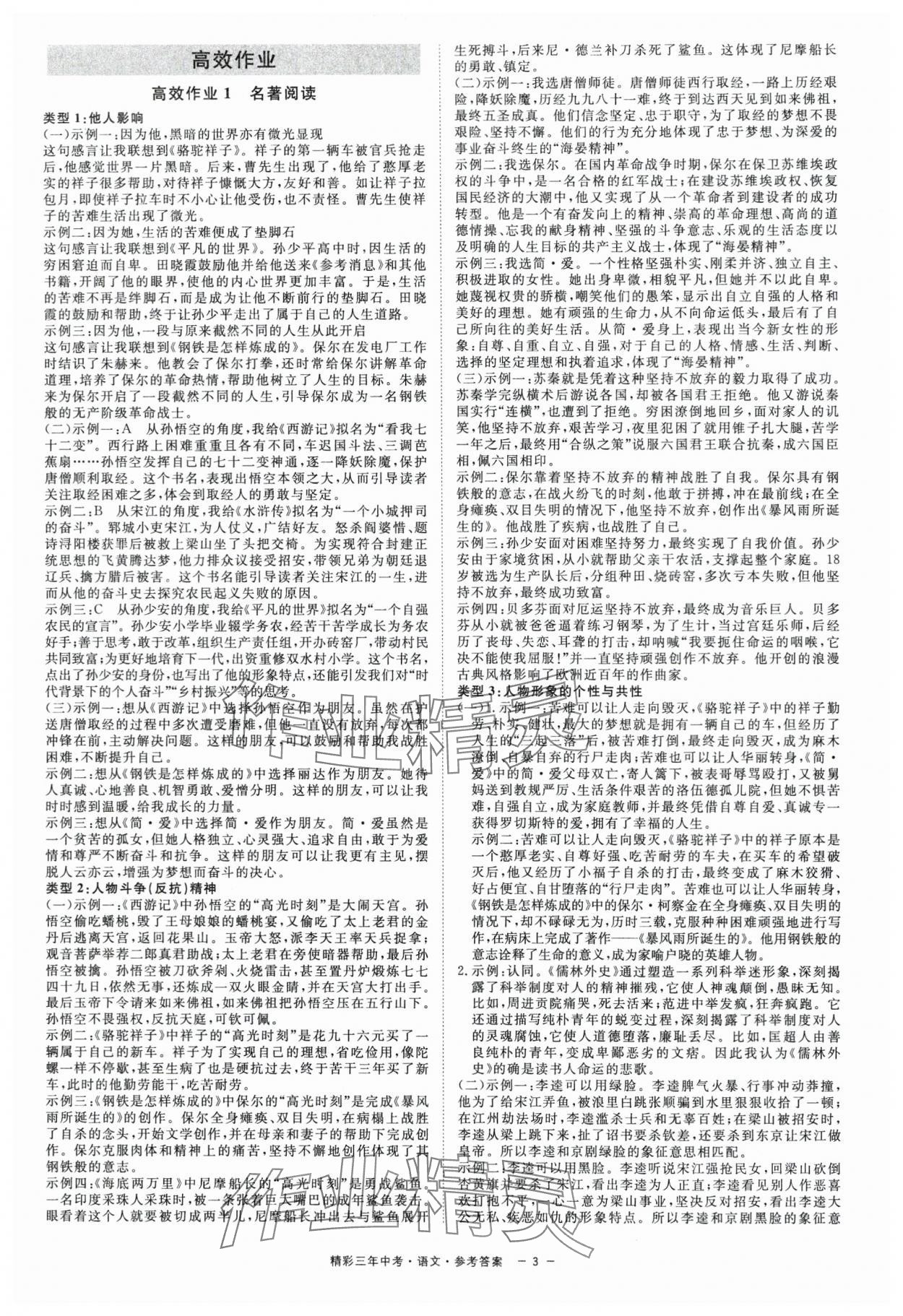 2024年精彩三年中考總復(fù)習(xí)語文 第3頁