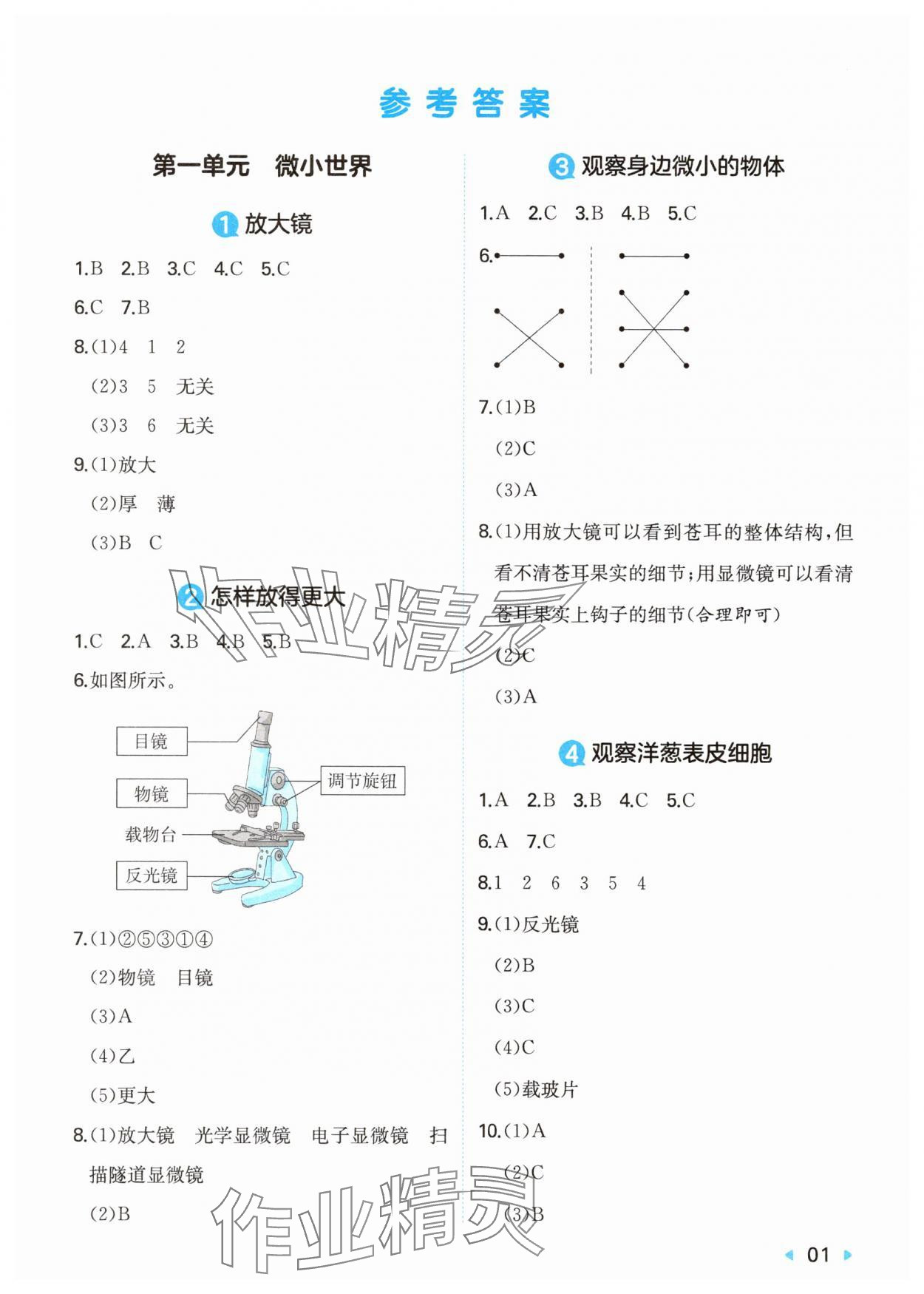 2025年一本同步训练六年级科学上册教科版 第1页