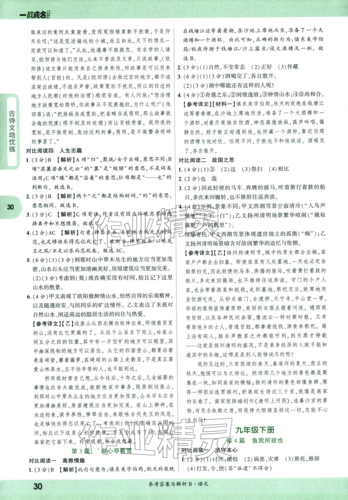 2026年纯练版总复习九年级语文全一册人教版&nbsp;第30页