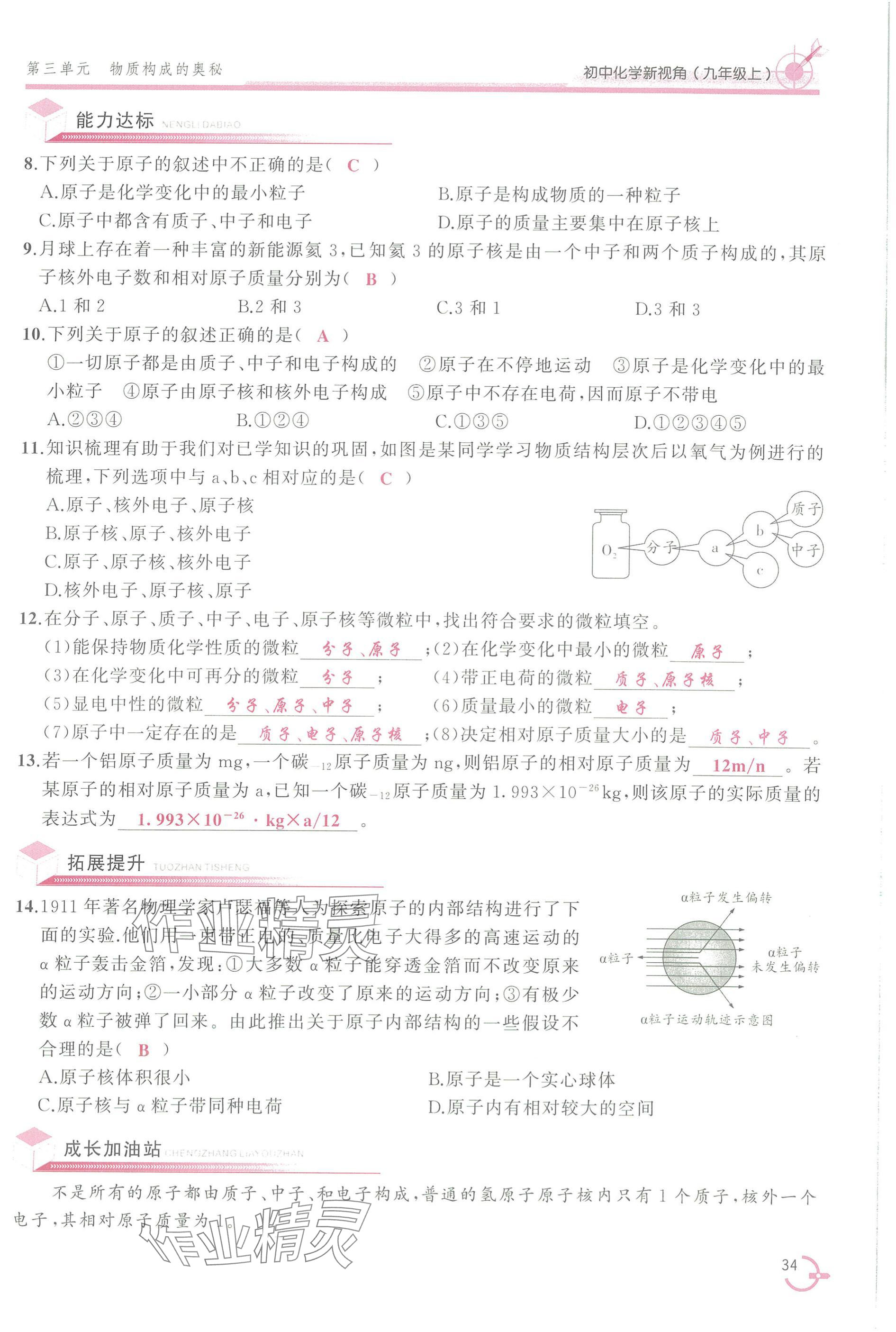 2025年新视角教辅系列丛书九年级化学上册人教版 参考答案第34页