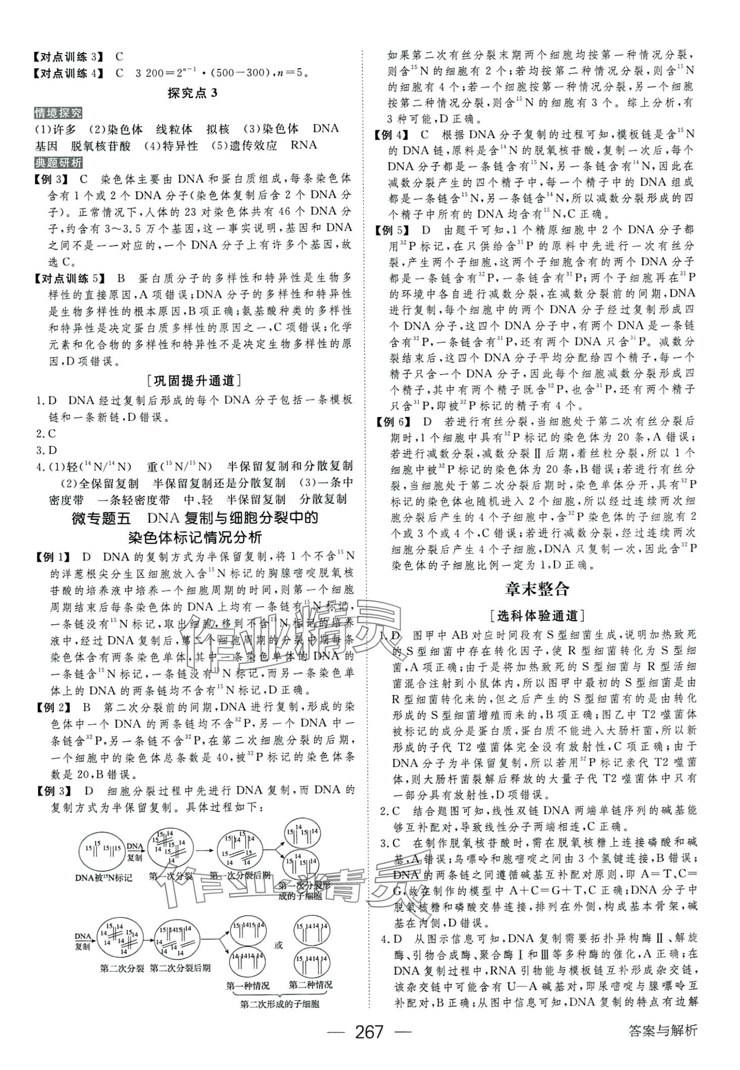 2024年綠色通道高中生物必修2人教版 第15頁