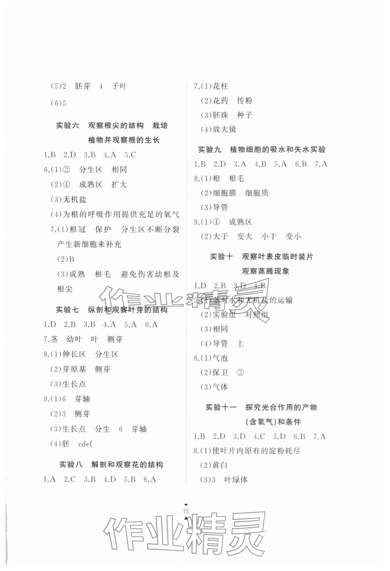 2025年实验报告册江西教育出版社八年级生物上册冀少版 参考答案第2页