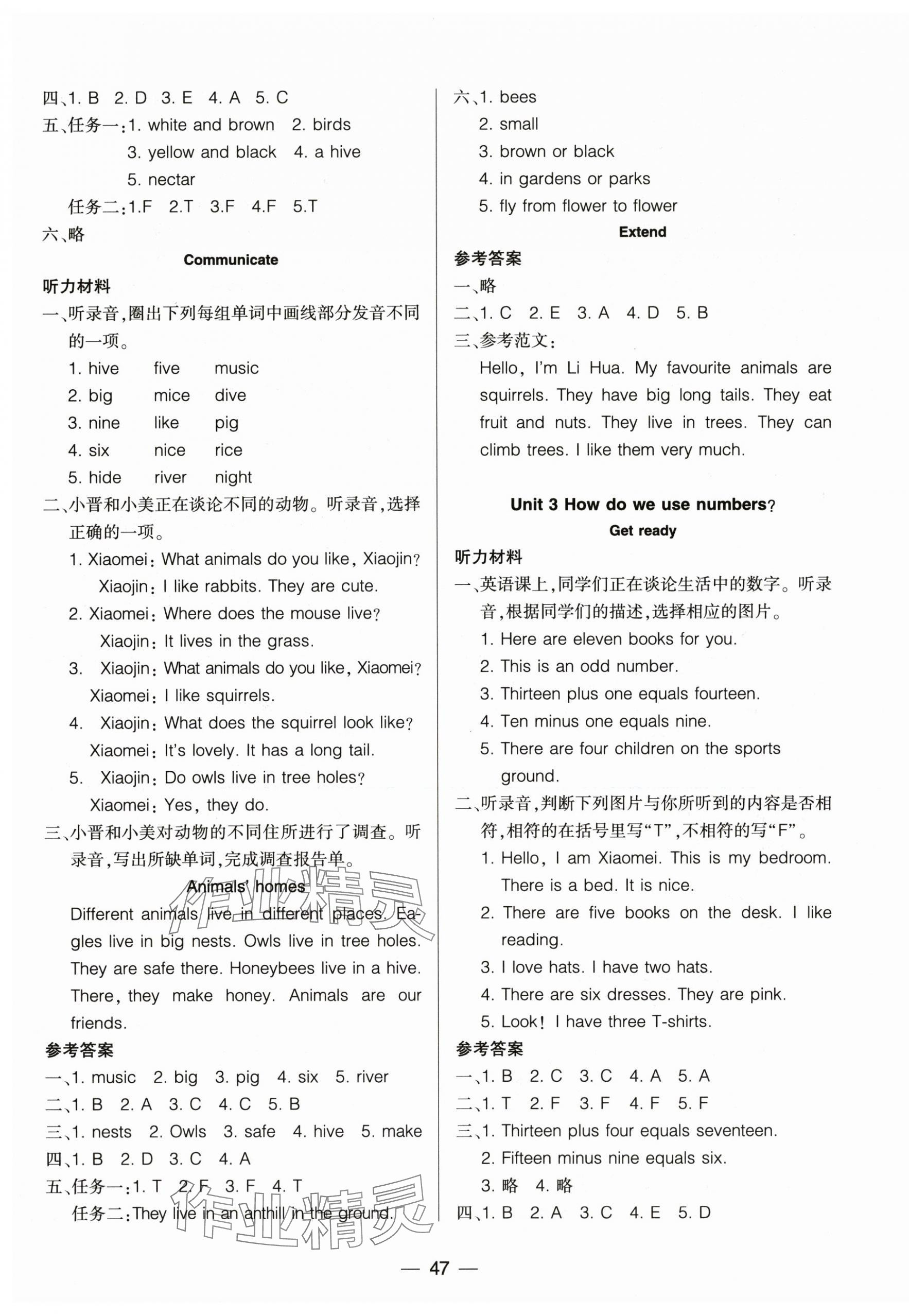 2025年新課標兩導兩練高效學案四年級英語上冊滬教版 第3頁