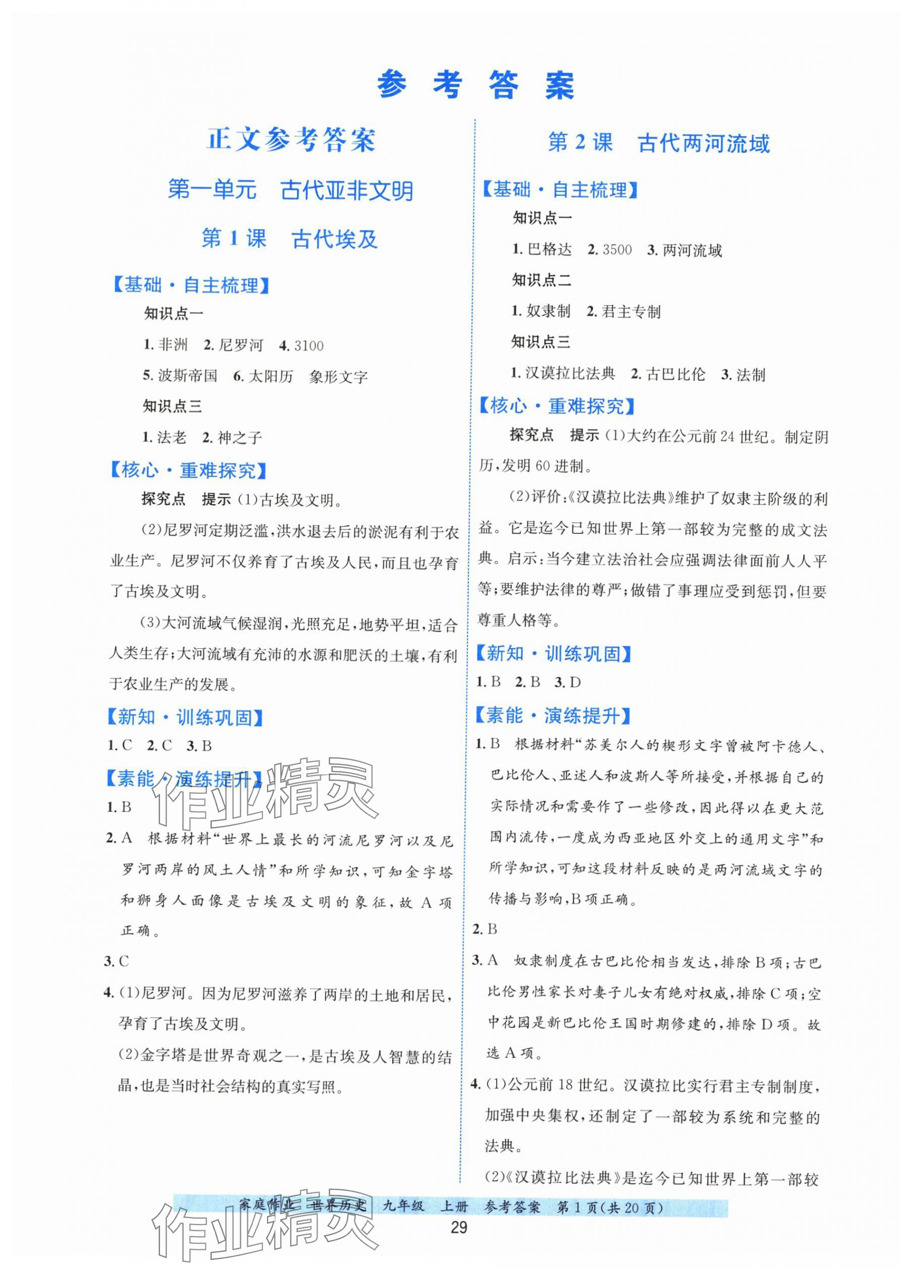 2025年家庭作业九年级历史上册人教版 第1页