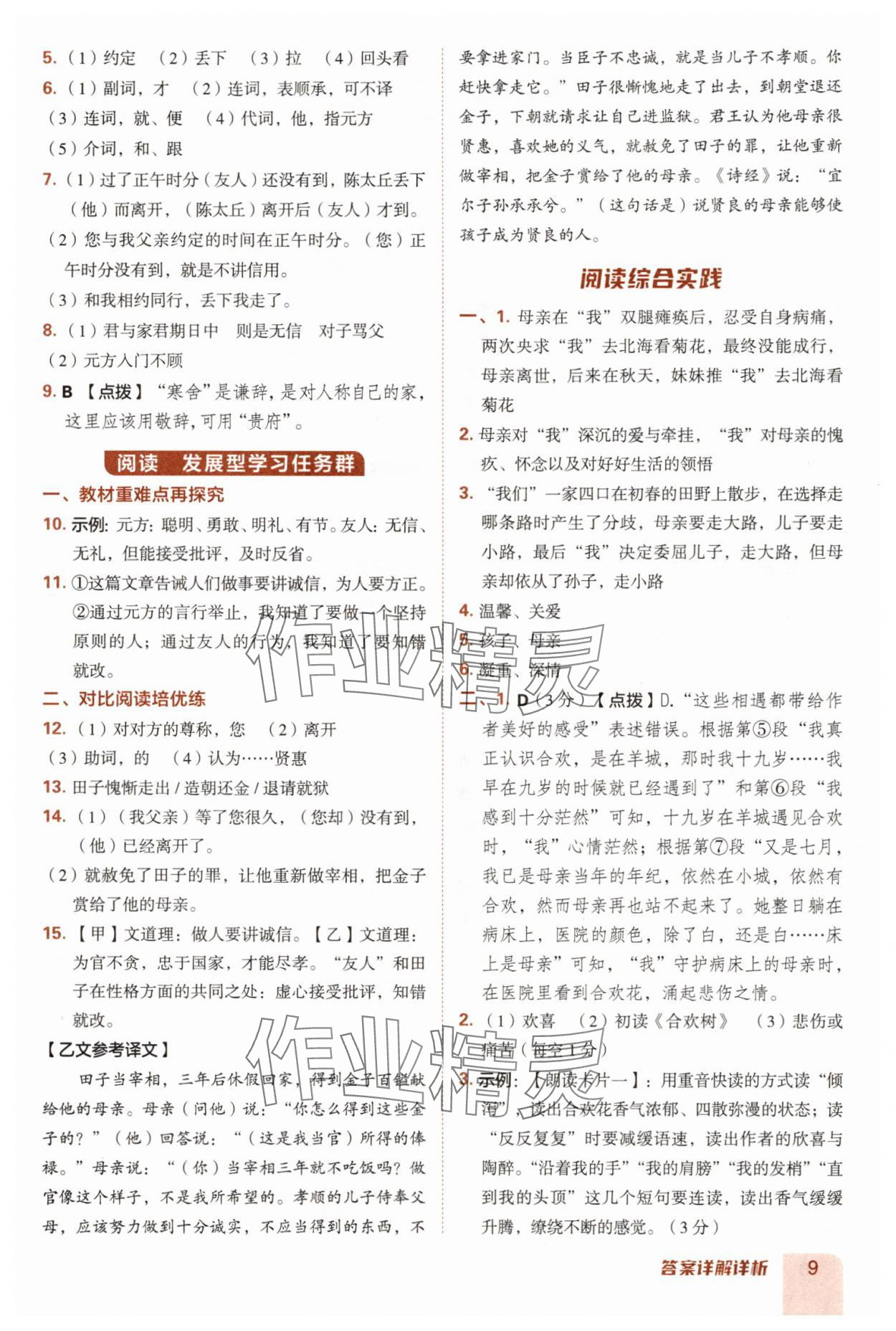 2025年综合应用创新题典中点七年级语文上册人教版安徽专版 第9页