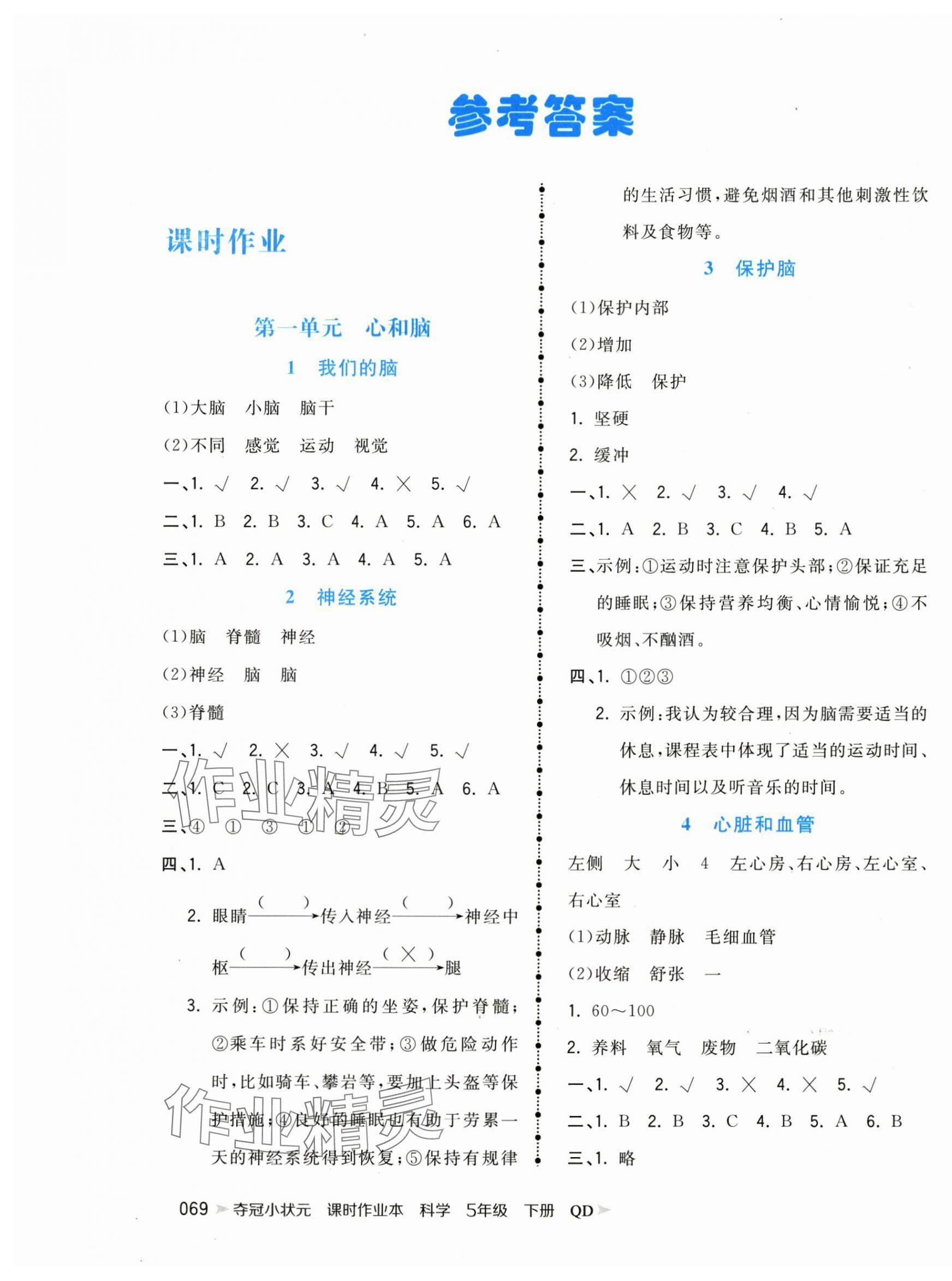 2025年奪冠小狀元課時作業(yè)本五年級科學下冊青島版 第1頁