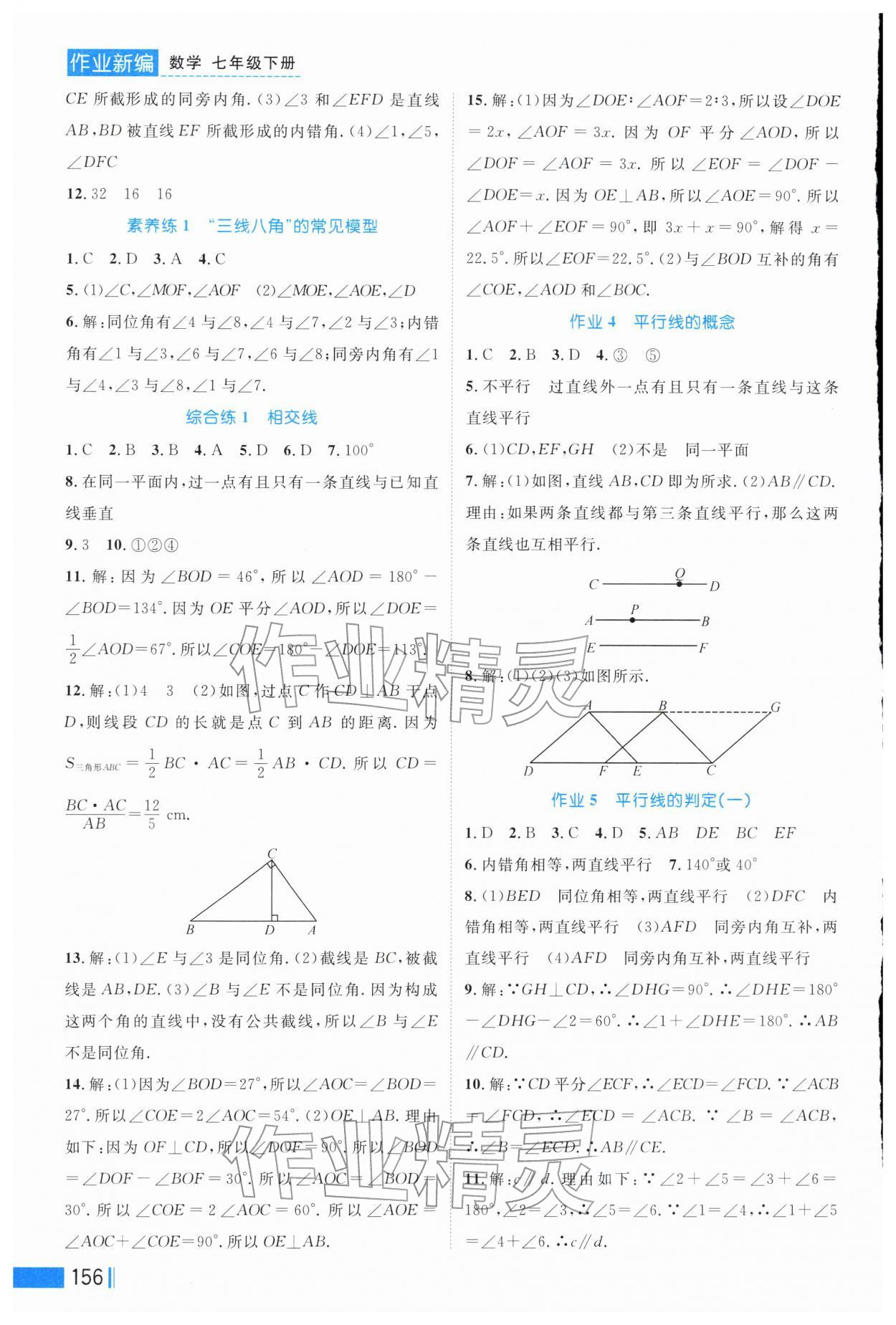 2026年作业新编七年级数学下册人教版&nbsp;第2页