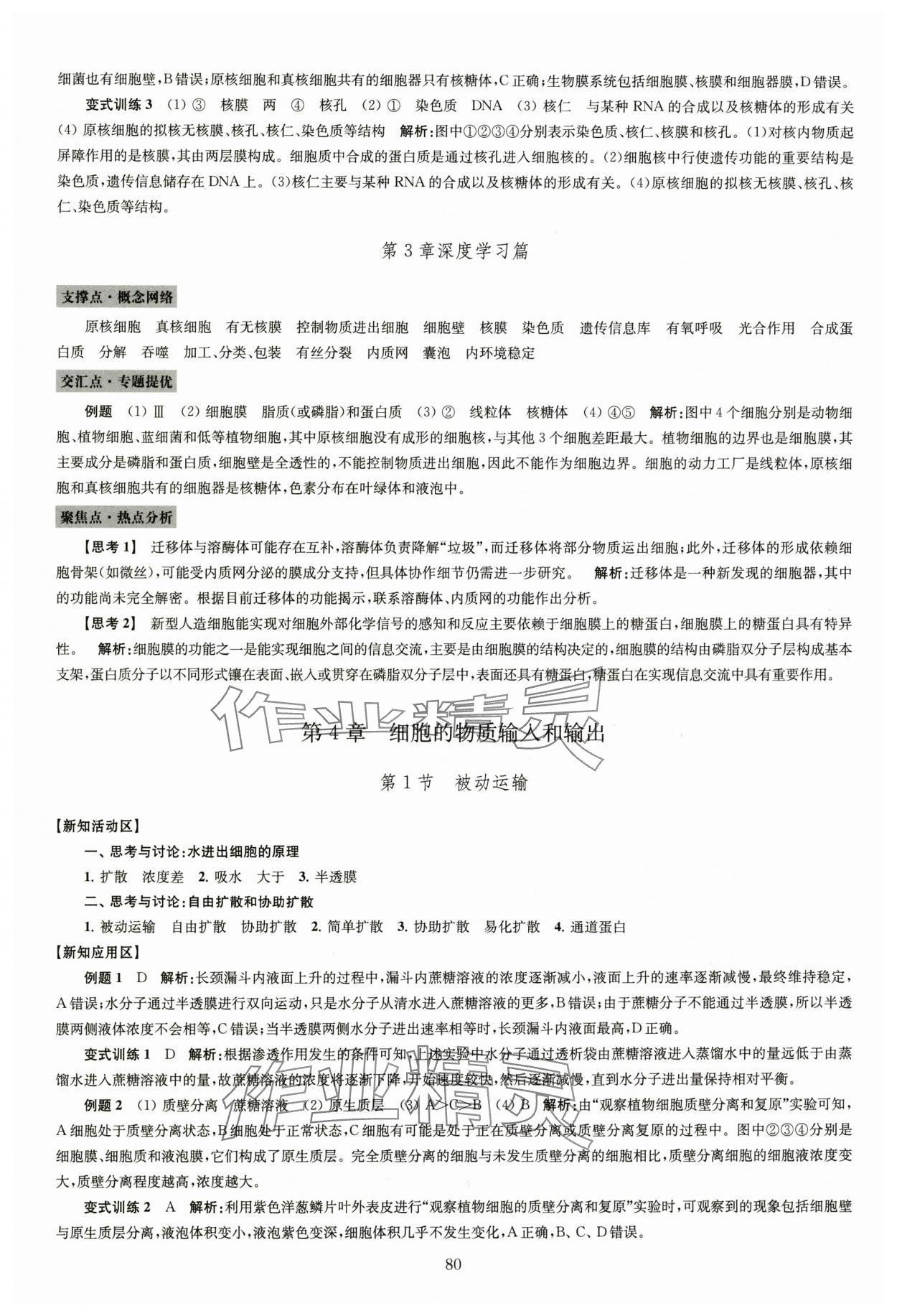2025年鳳凰新學案高中生物學人教版必修1分子與細胞 第8頁